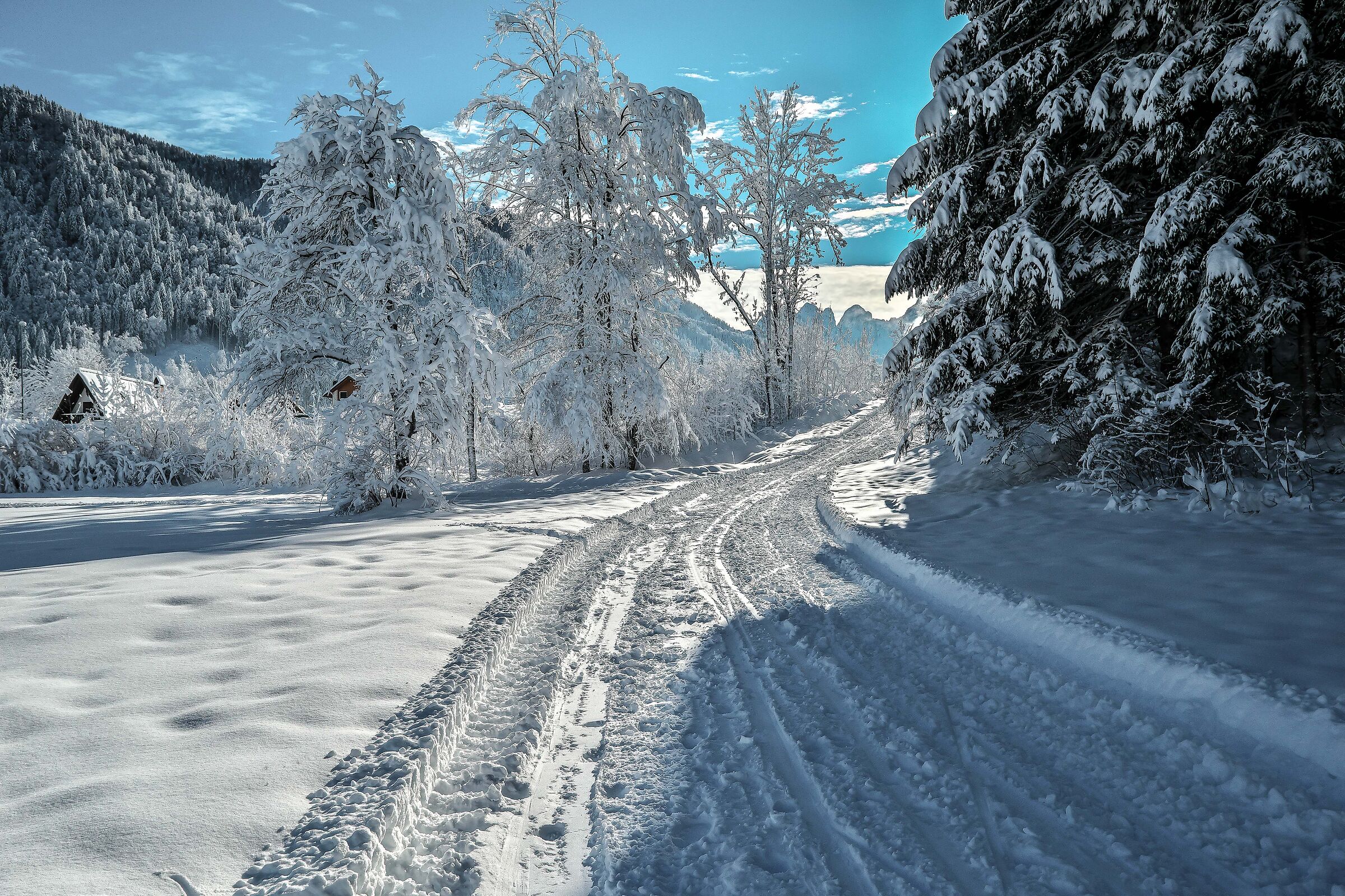 Walking on the snow I