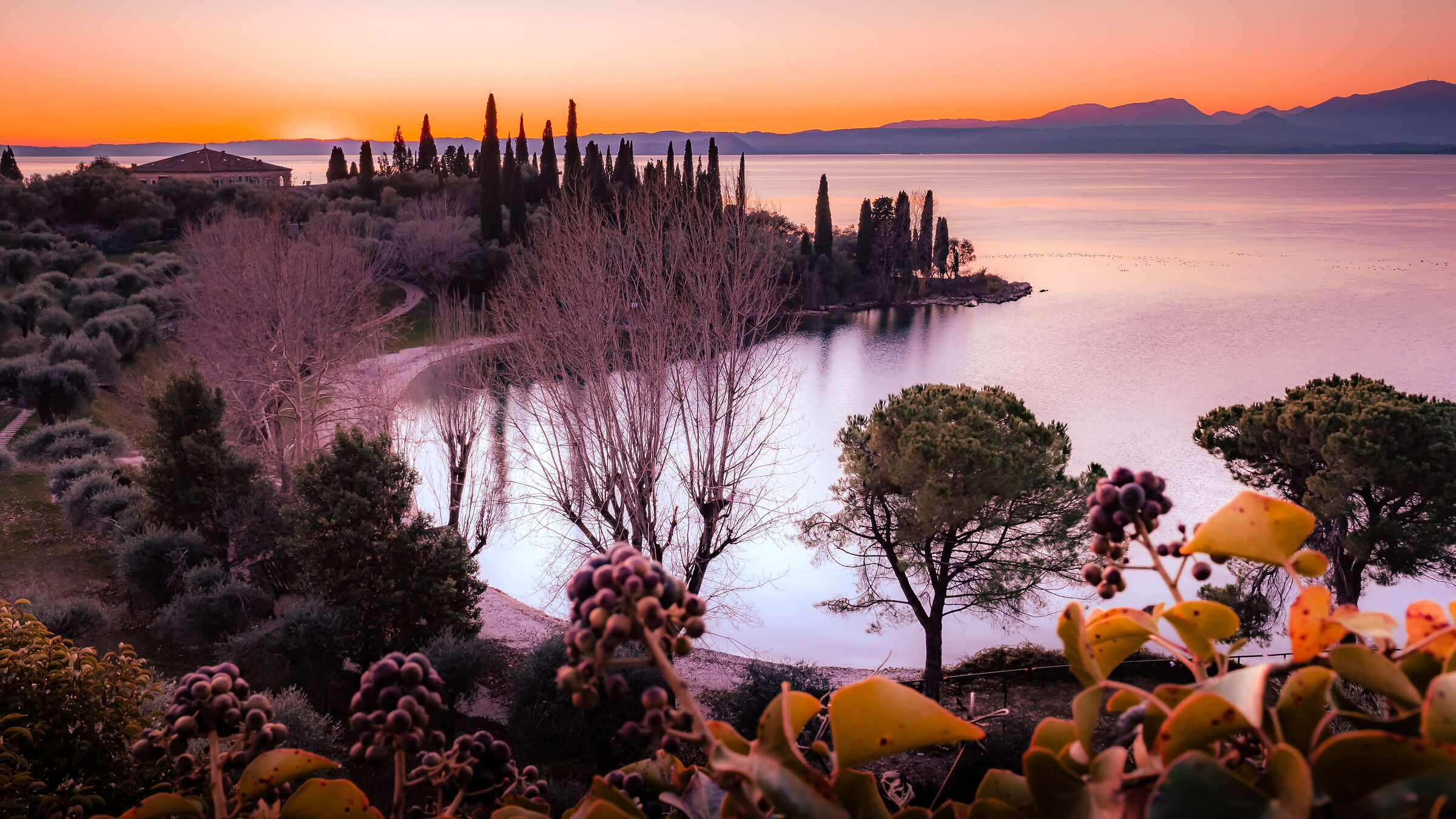 Momento dorato a Punta San Vigilio
