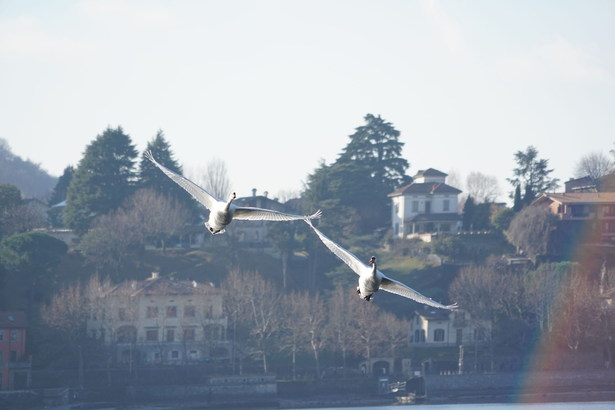 Lake Lecco January 2022