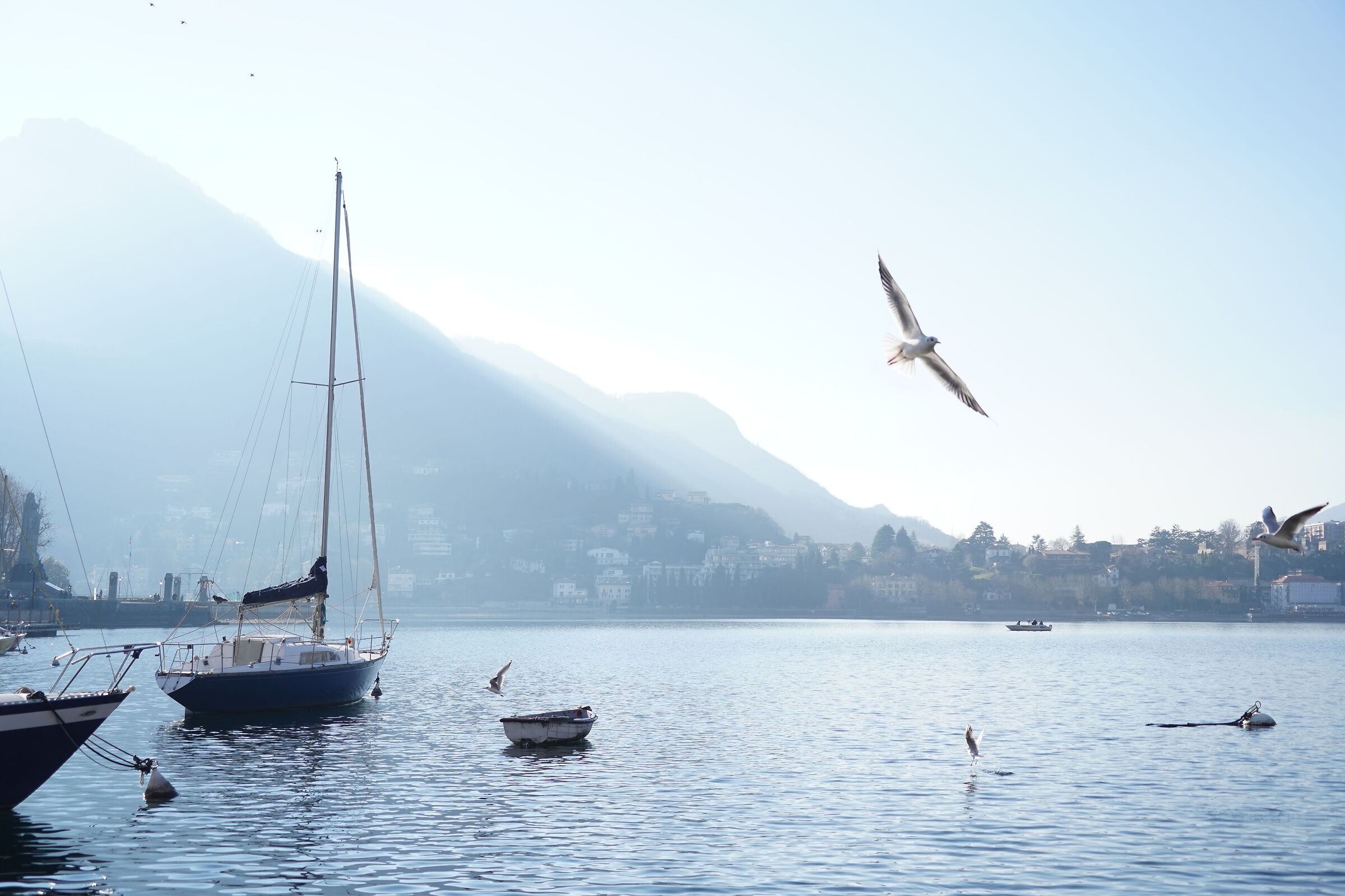 Lake Lecco January 2022