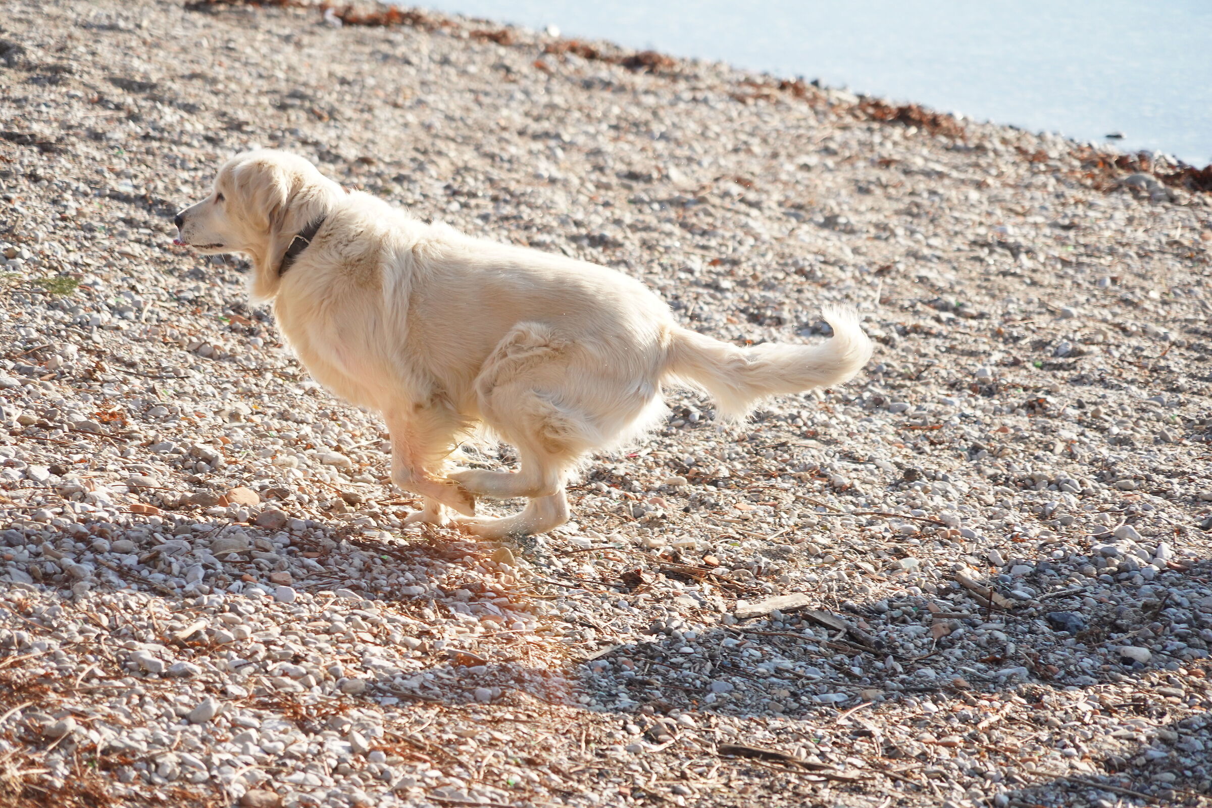 Lake Lecco January 2022