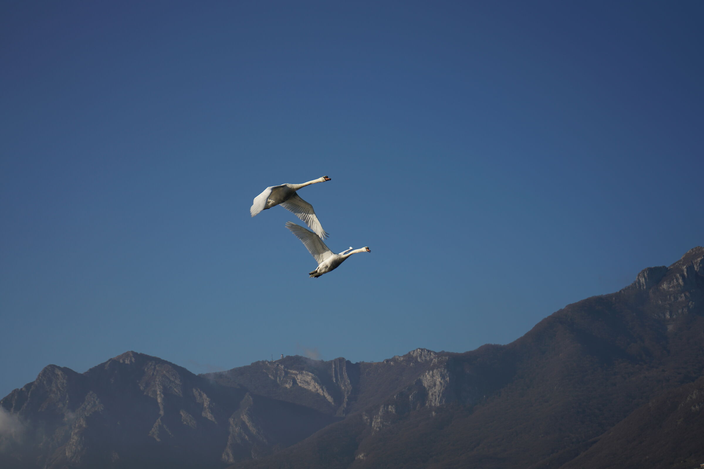 Lake Lecco January 2022