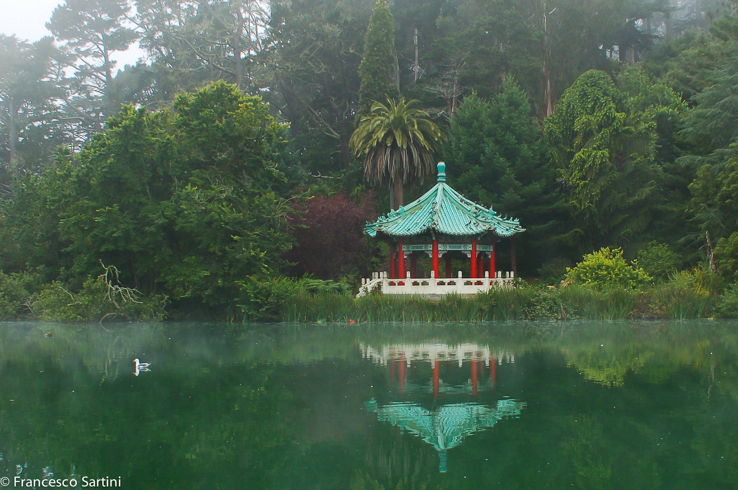 Quiet at the Golden Gate Park