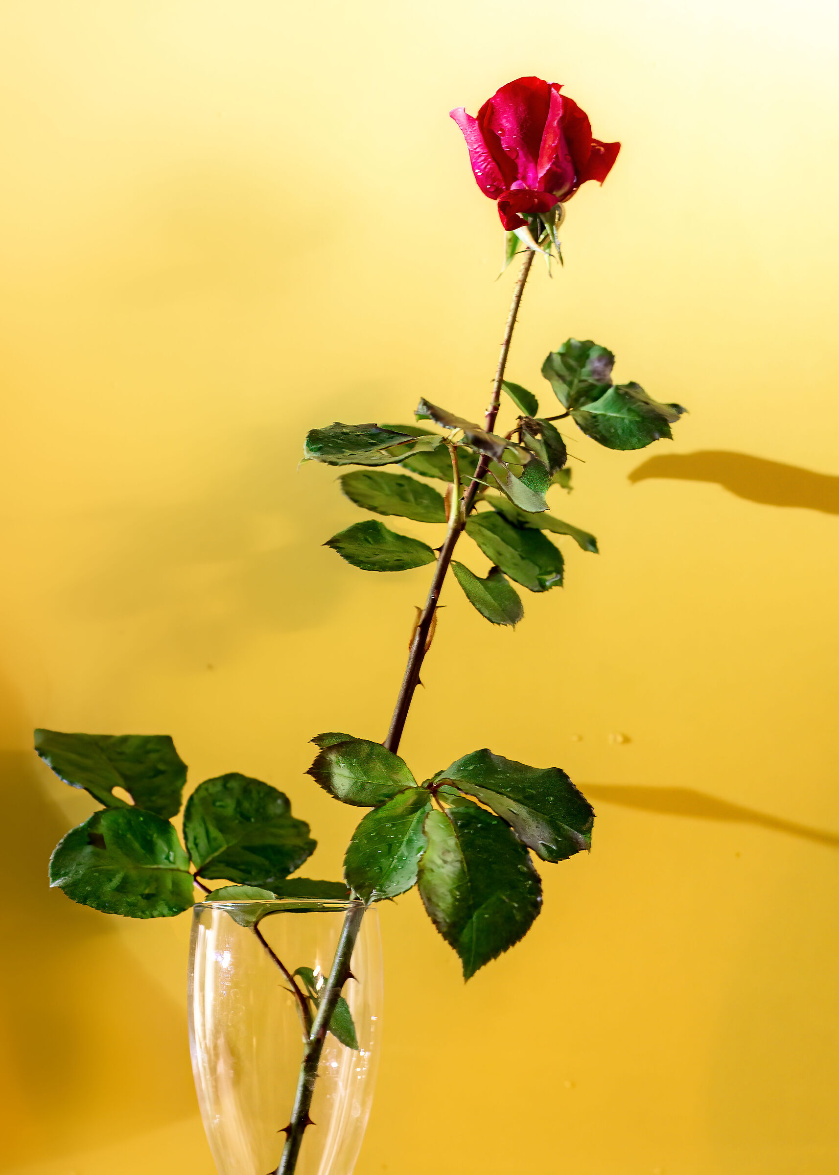 prova 2022/4 per passare tempo