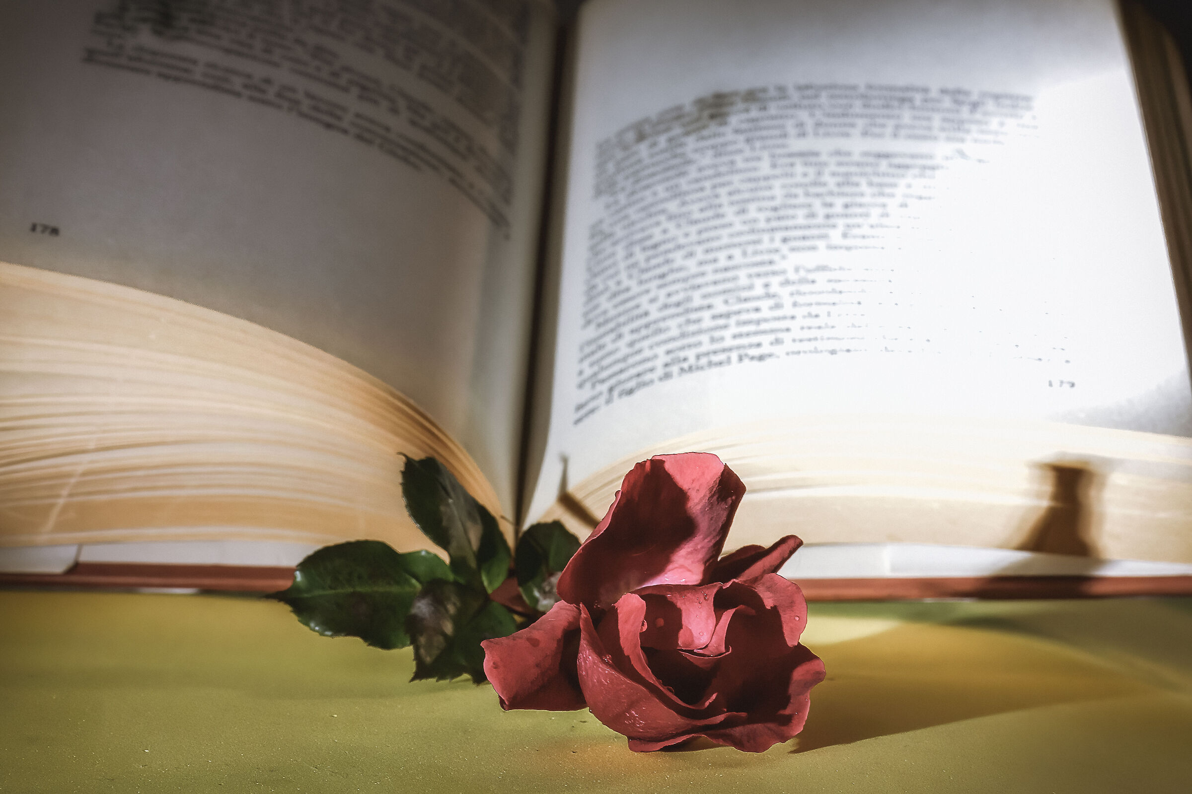 prova 2022/6 per passare tempo