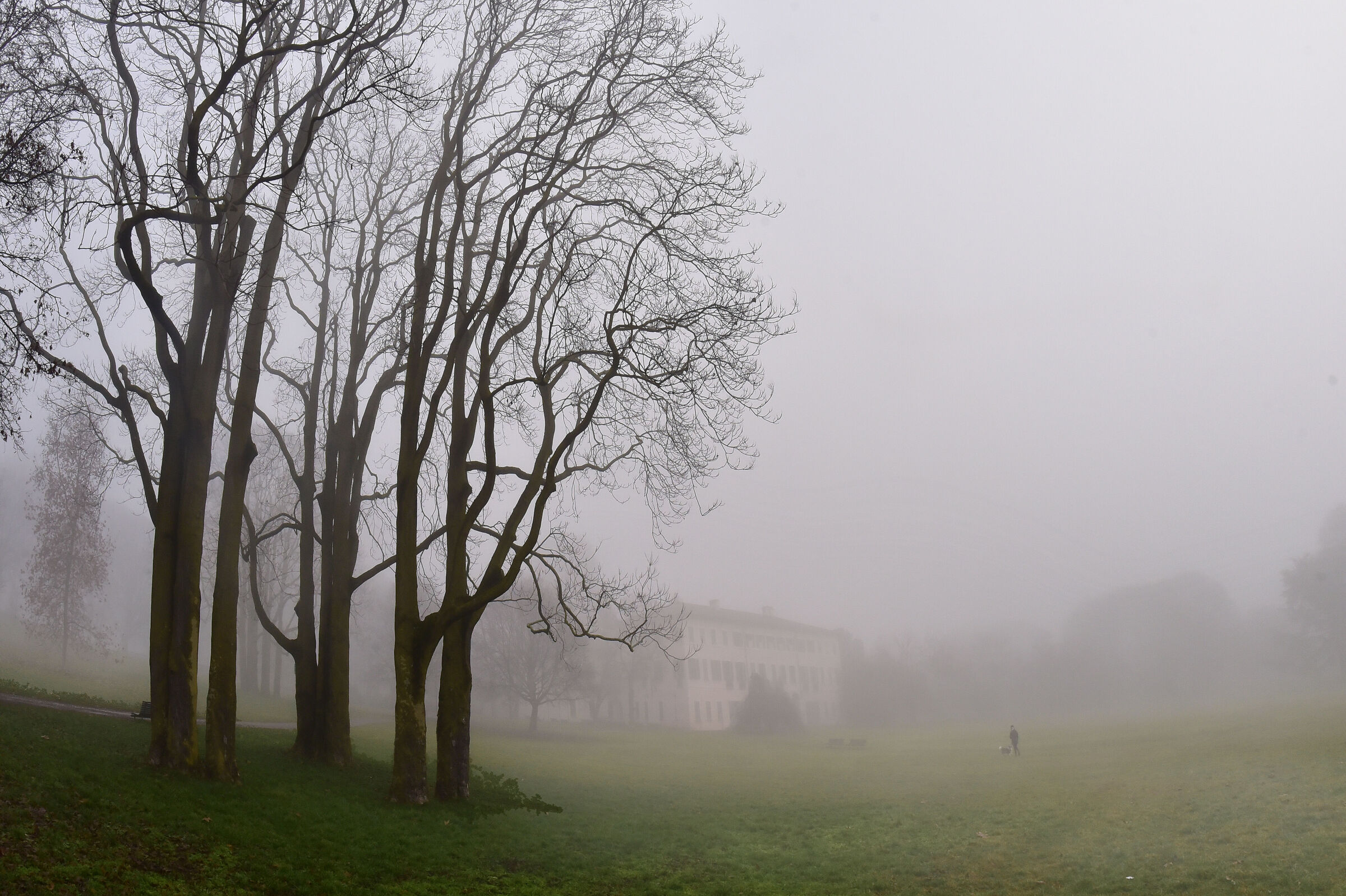 Villa Litta (Milano)