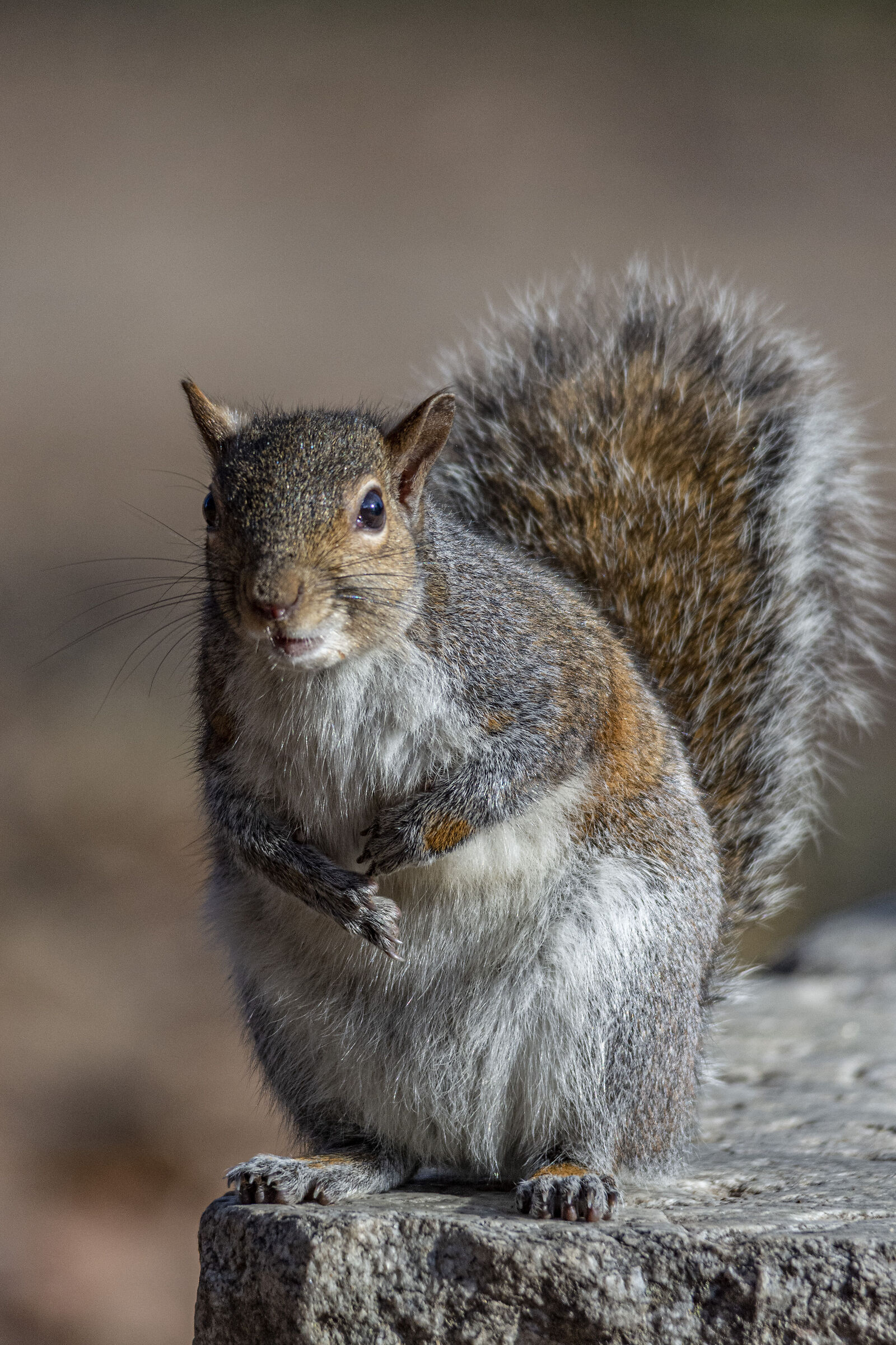 Questa è la mia panchina!