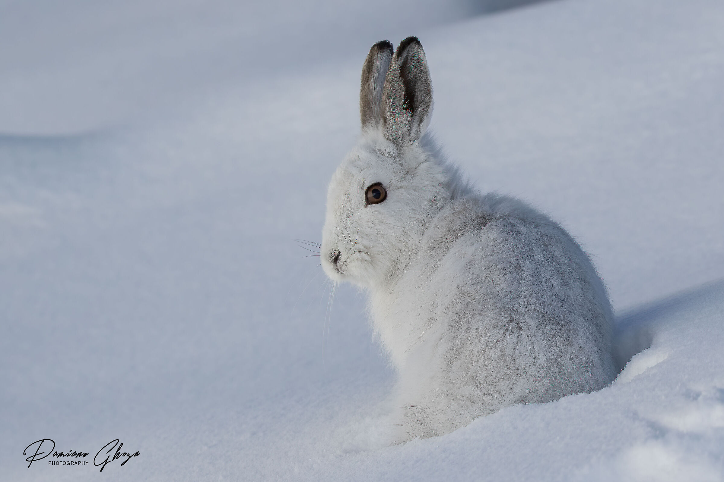 Stavolta ho vinto io