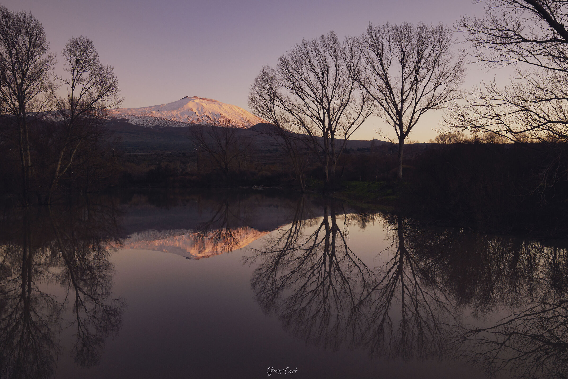 Specchio delle mie brame...