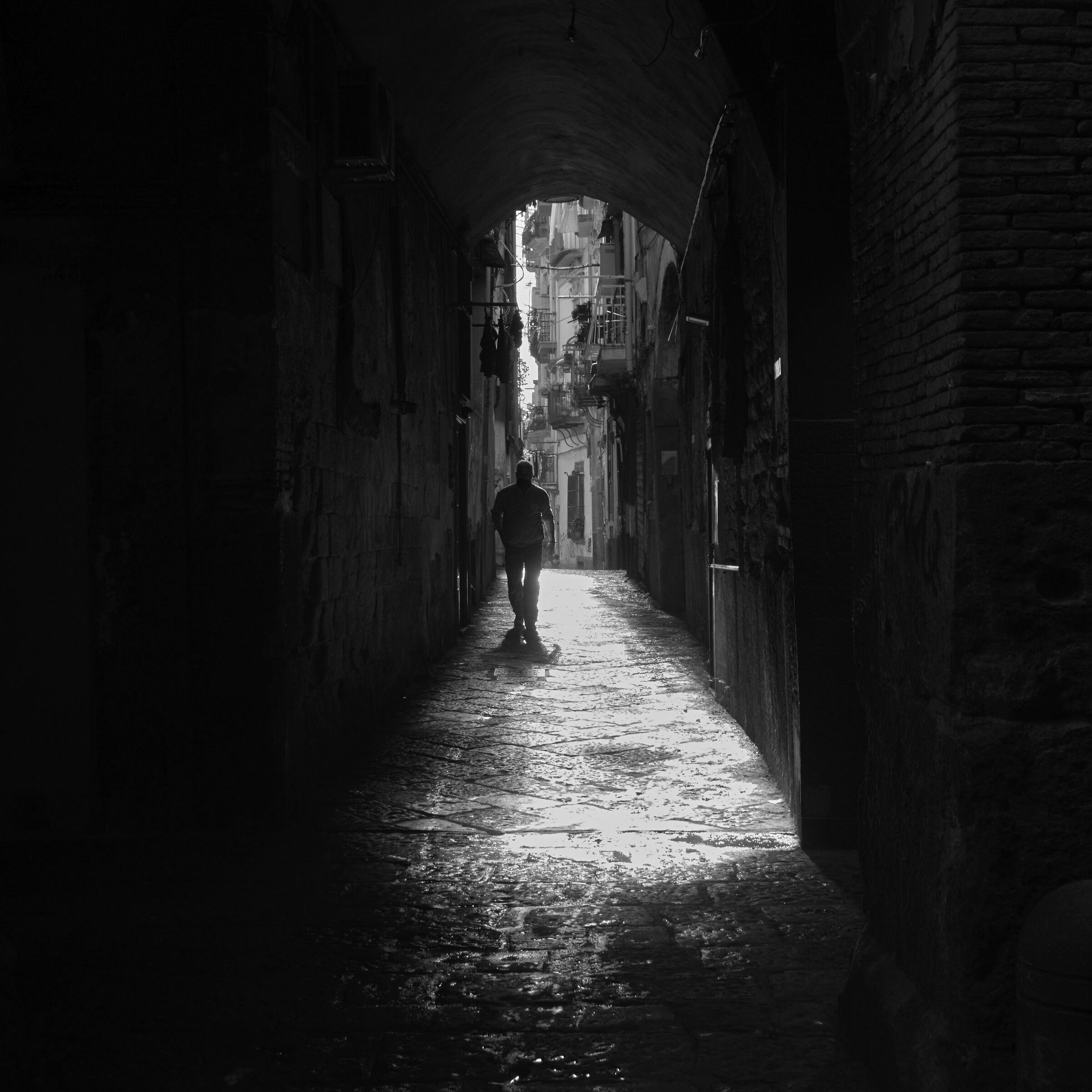 the path of the solitary