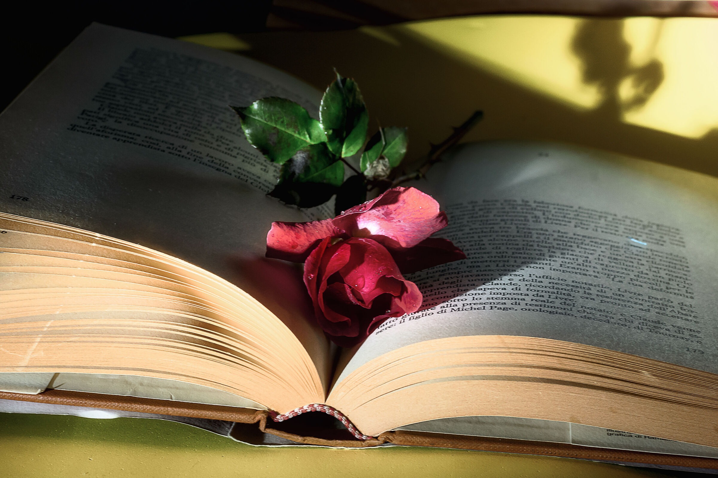 prova 2022/4 per passare tempo