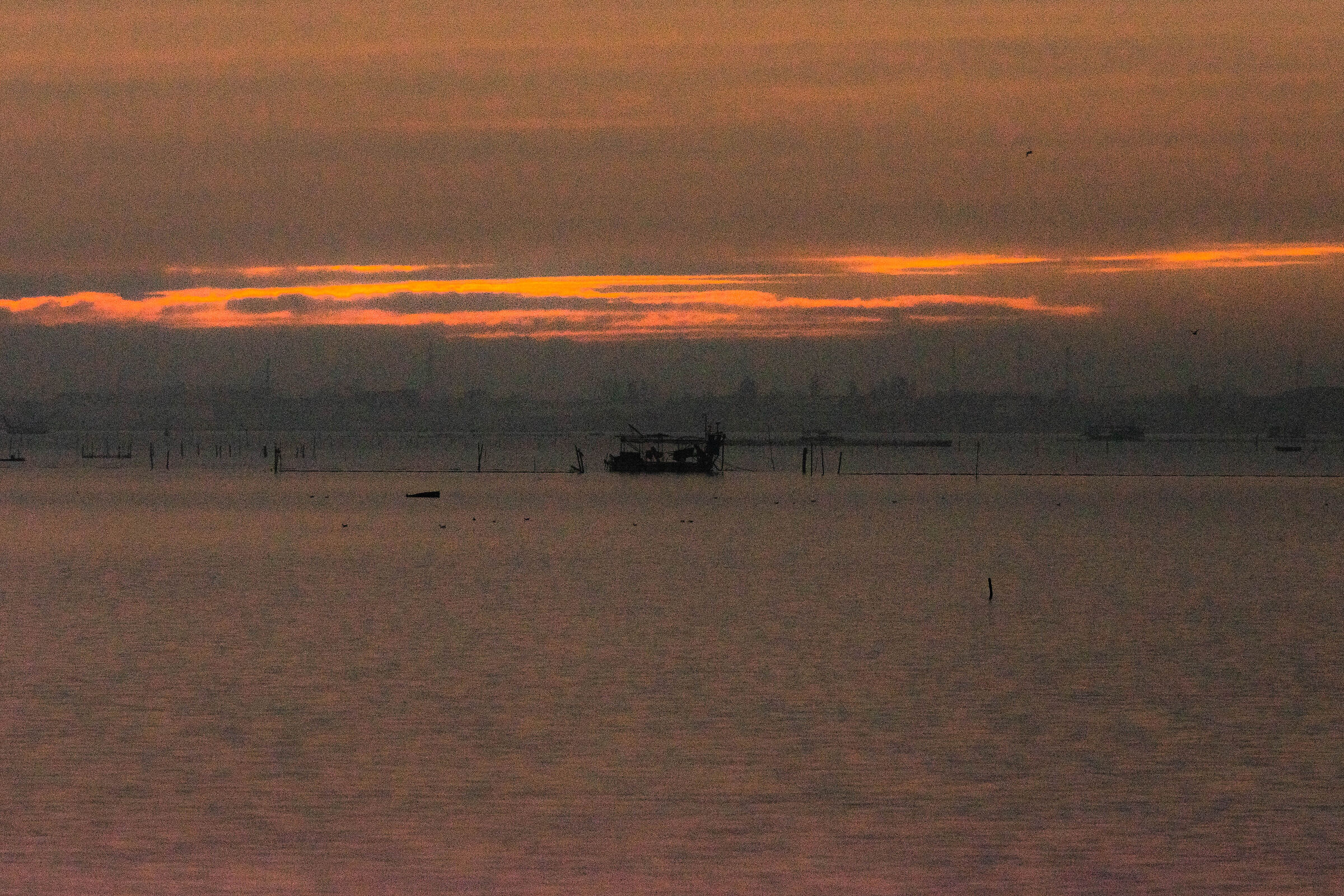 Chioggia - Fishermen in the fog