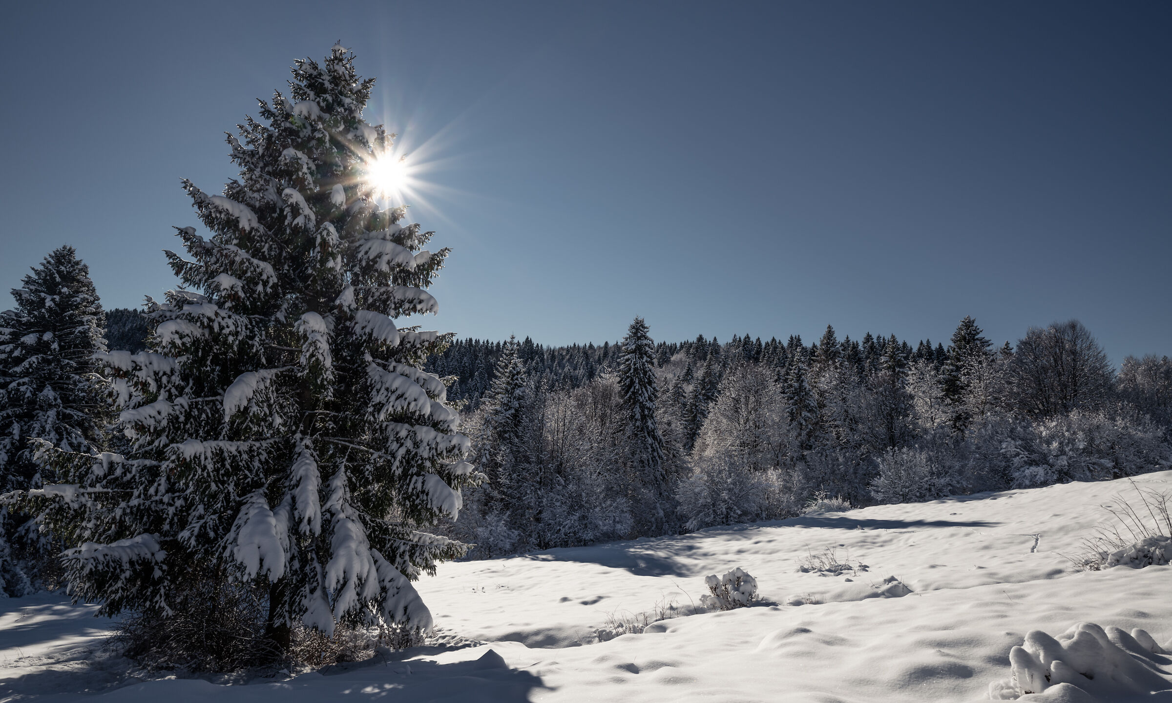 fresh snow