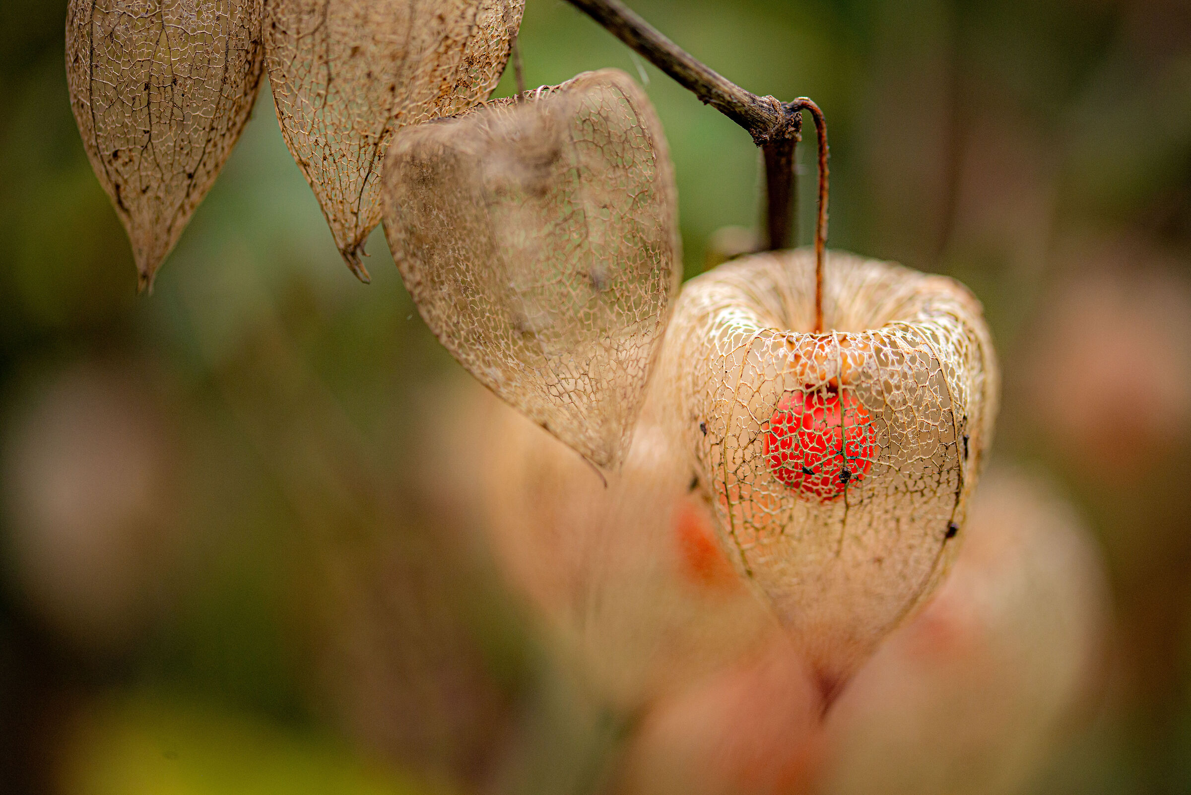 Untitled Photo