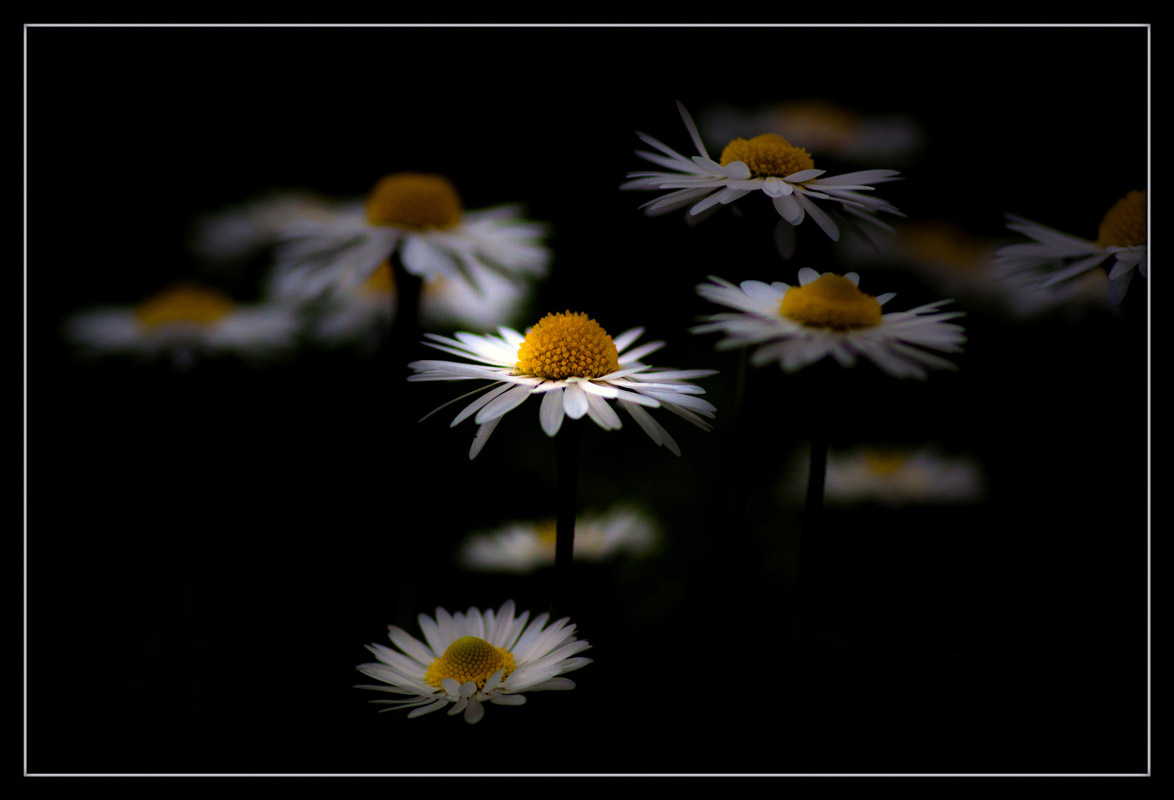 Una frà tutte.......