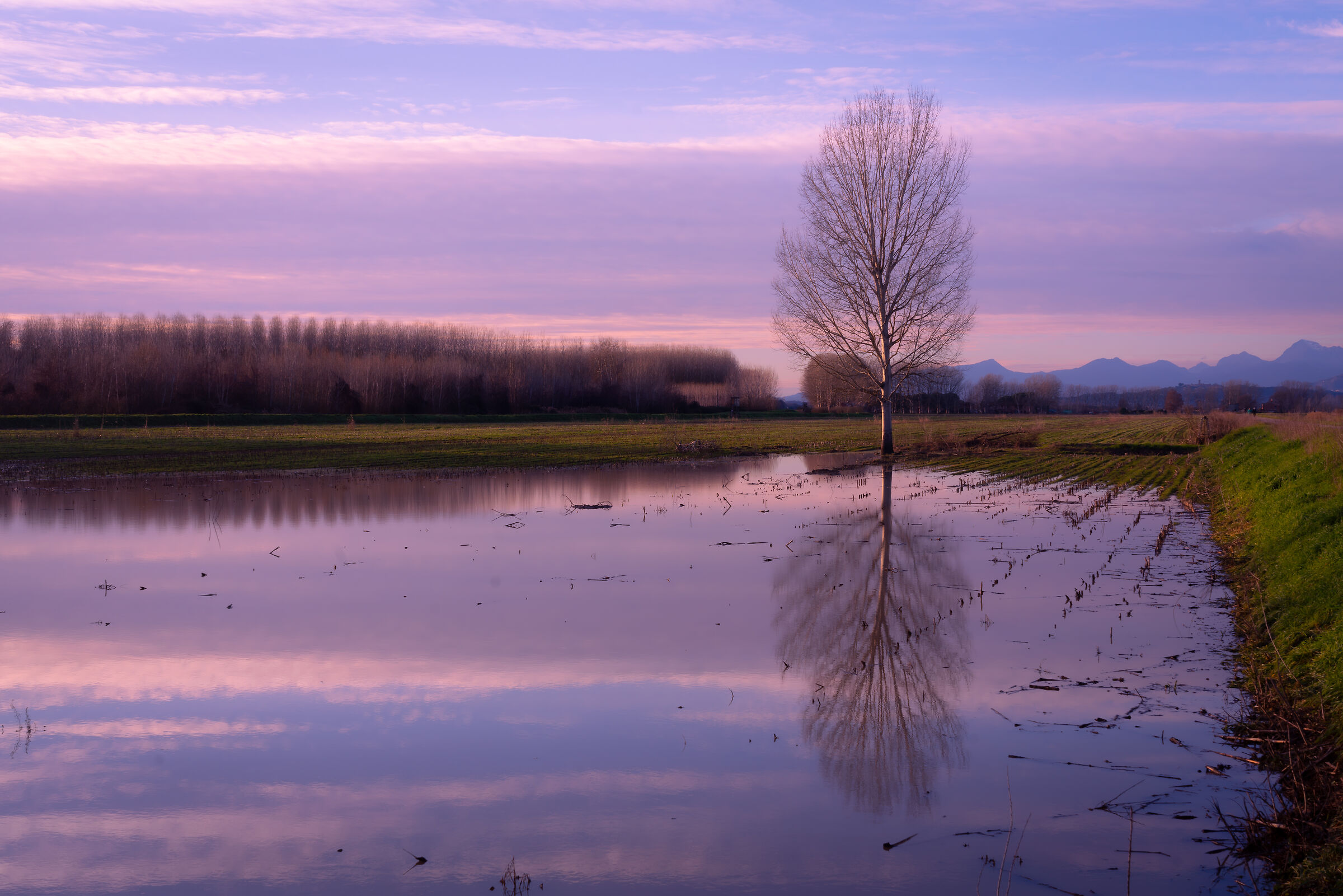tramonto invernale in Padule