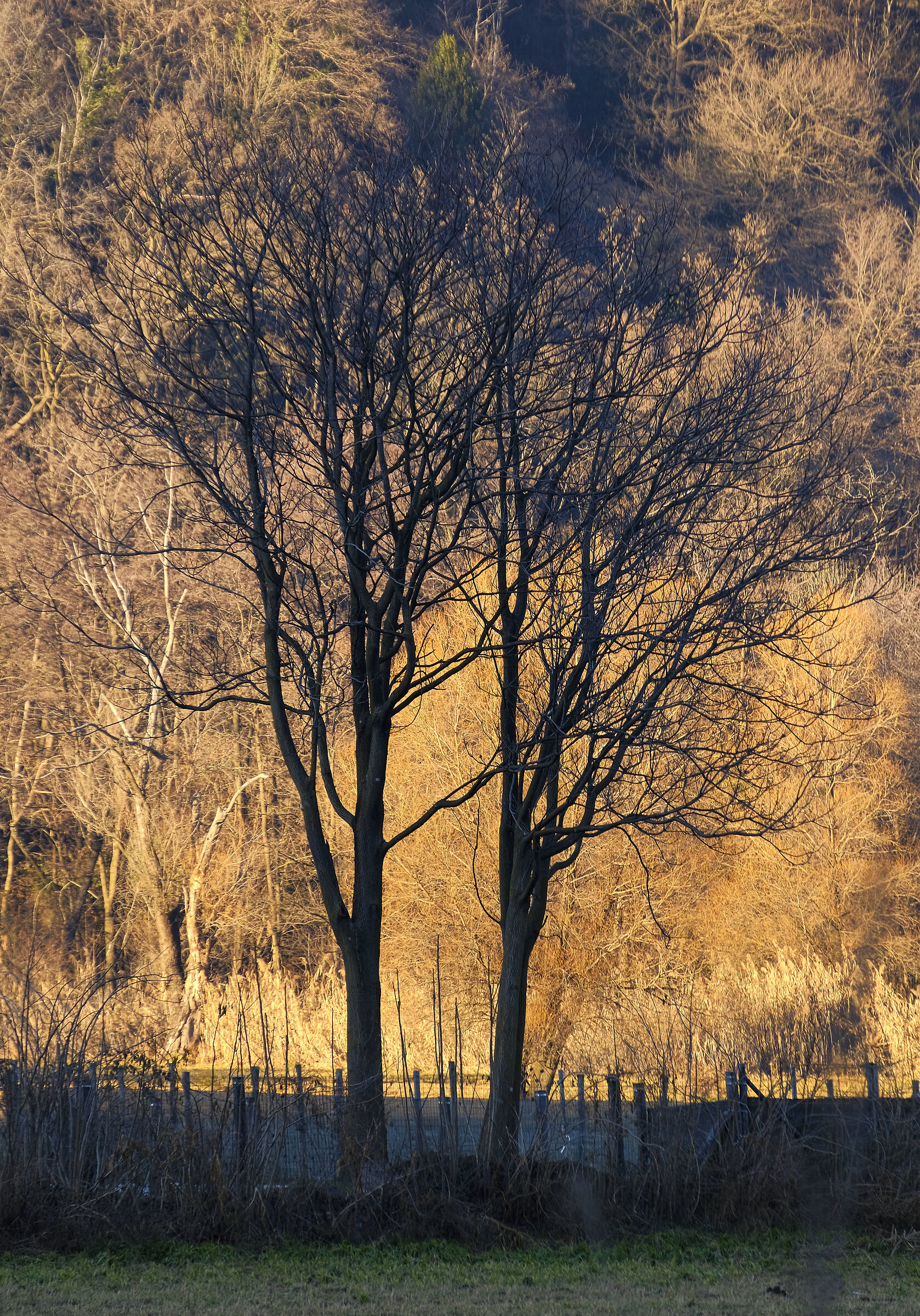 Ripresa dal finestrino del treno