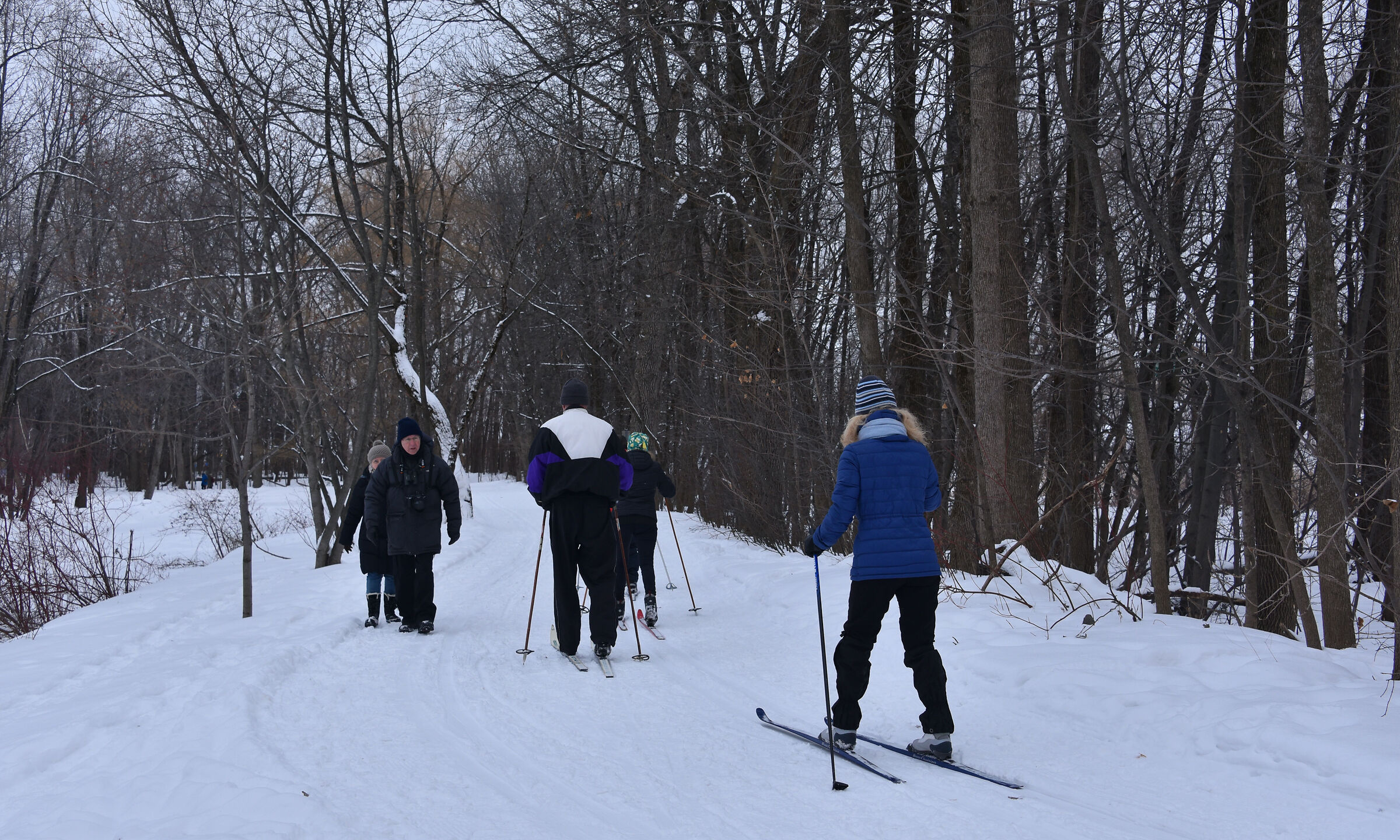 Preferibilmente a piedi o sfondo del cielo?