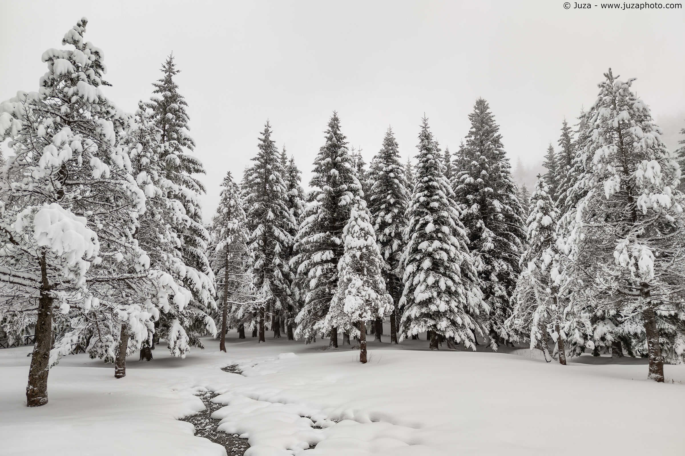 Un (quasi) bianco e nero