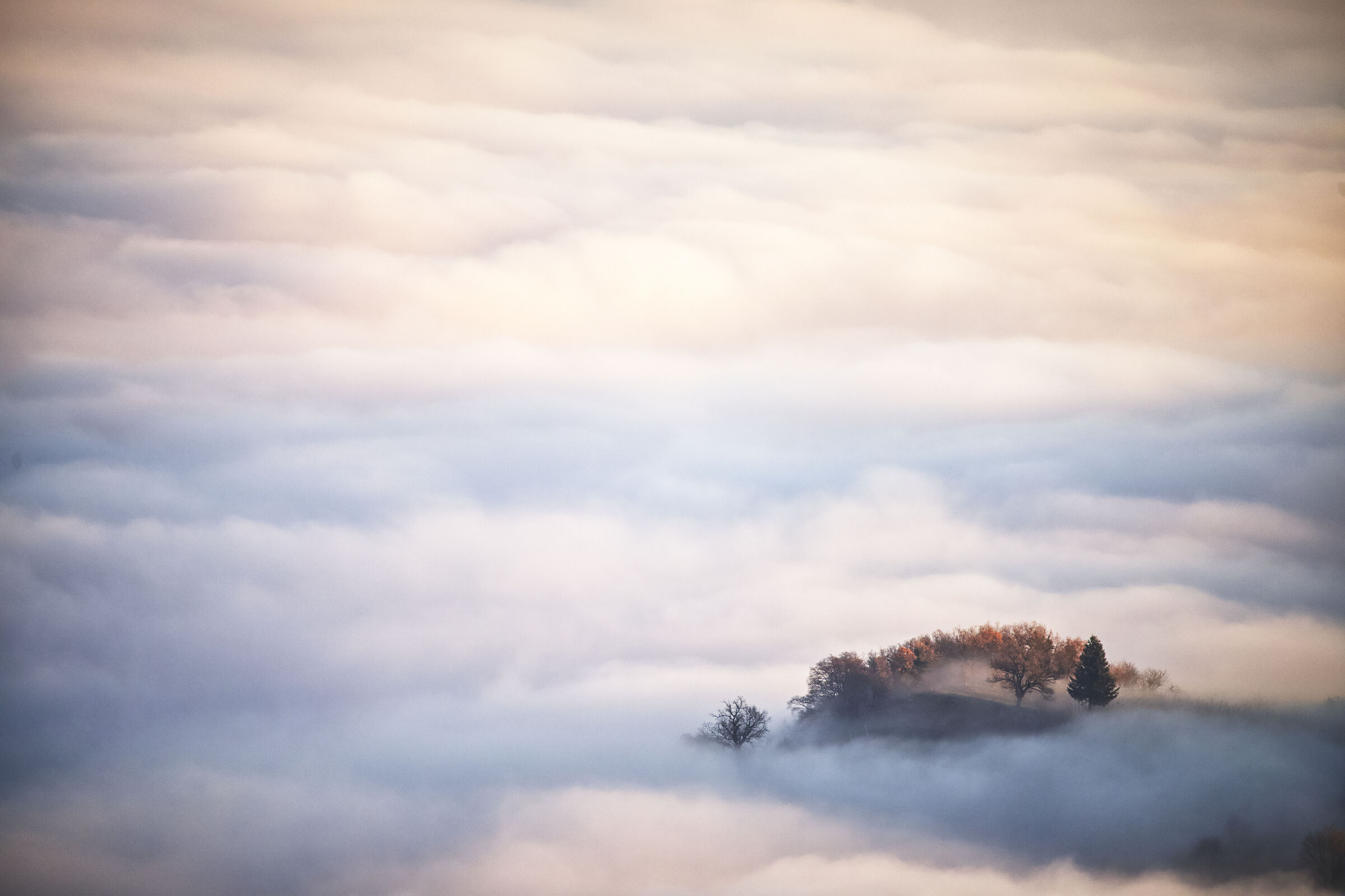 Untitled Photo