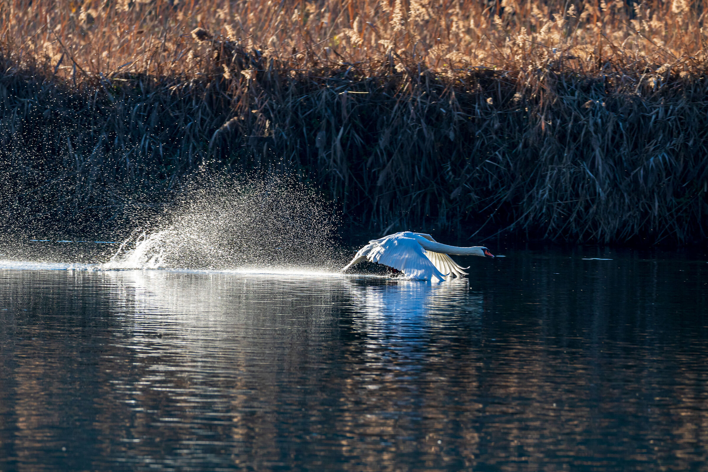 Flight satin river