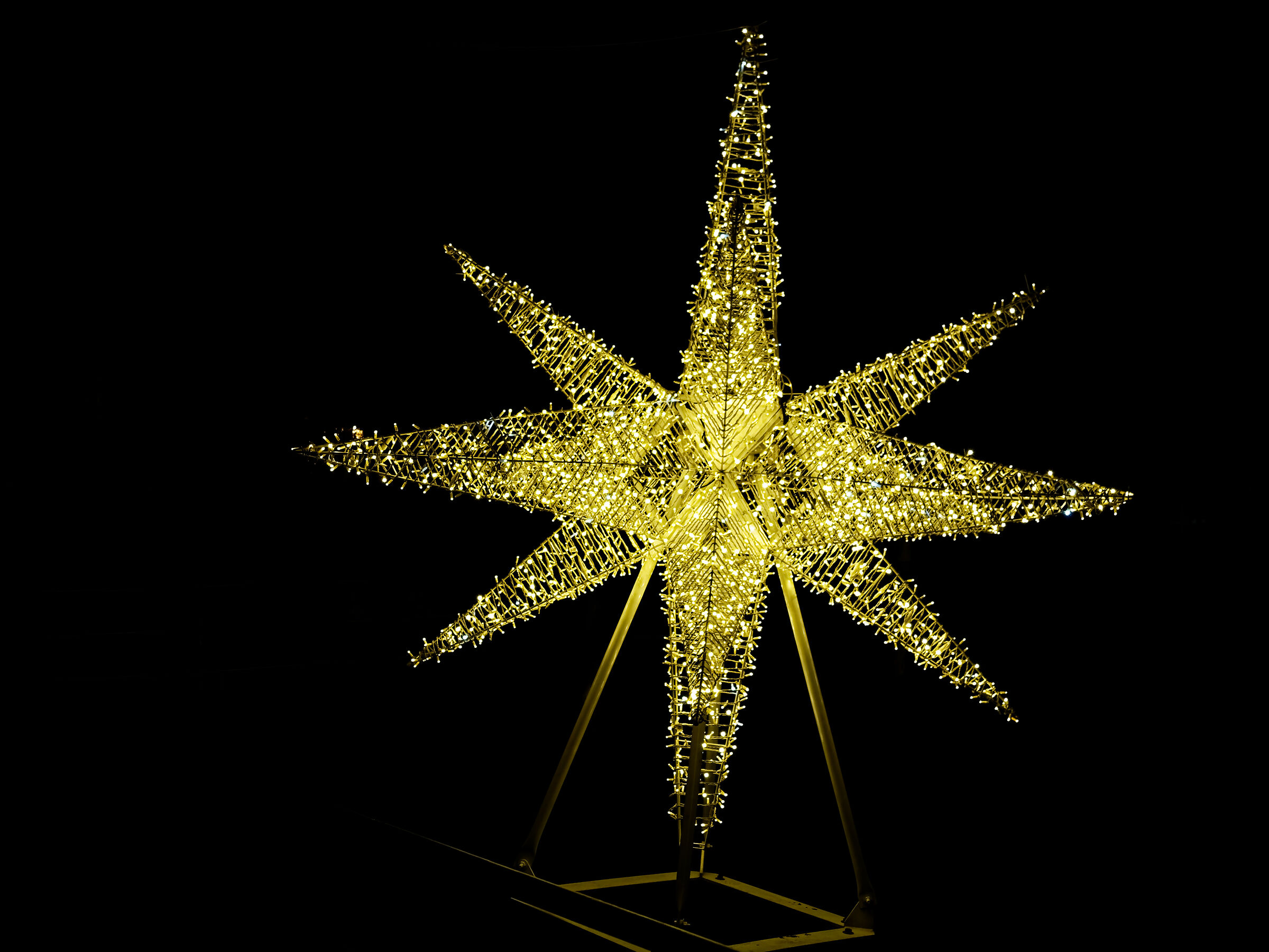 The star shining in the dark