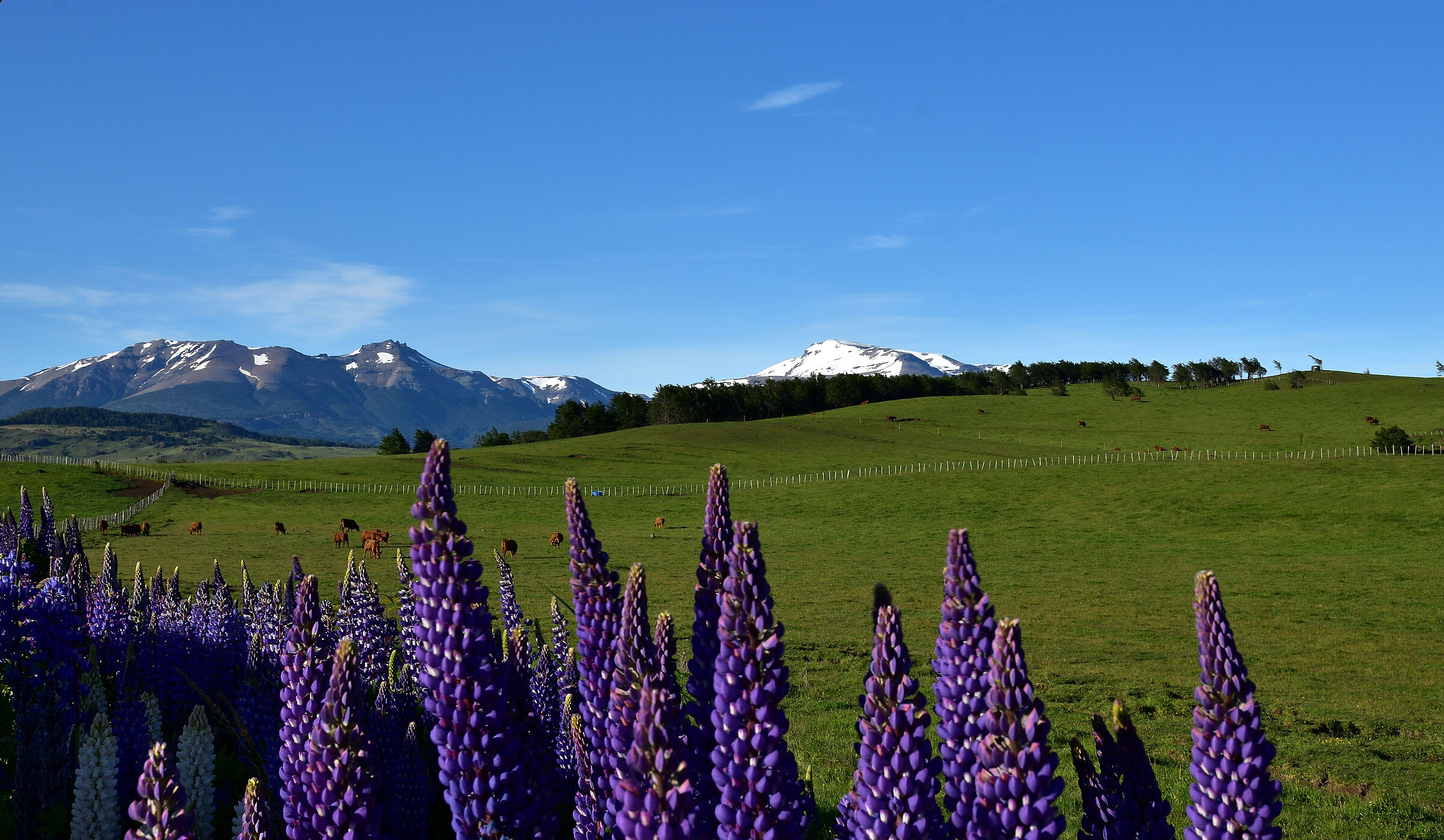 On the road tra Cile e Argentina