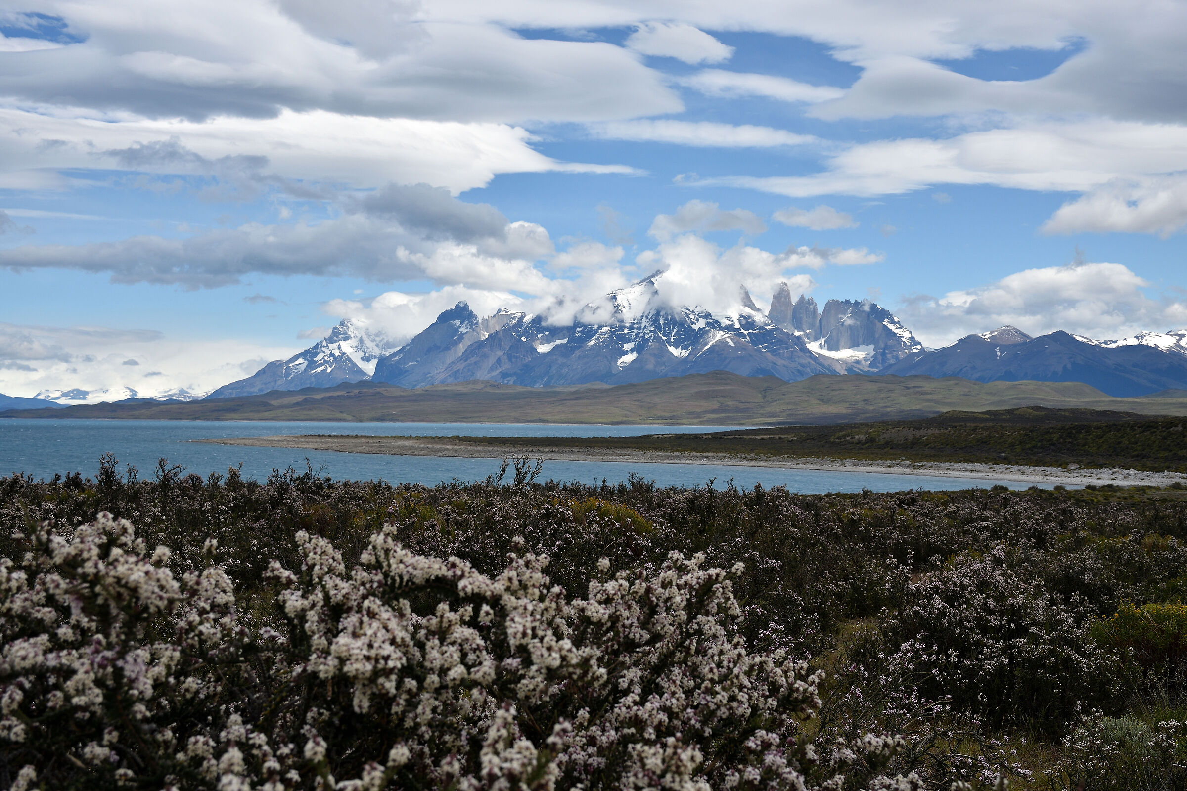 Verso le Torri del Paine - Cile