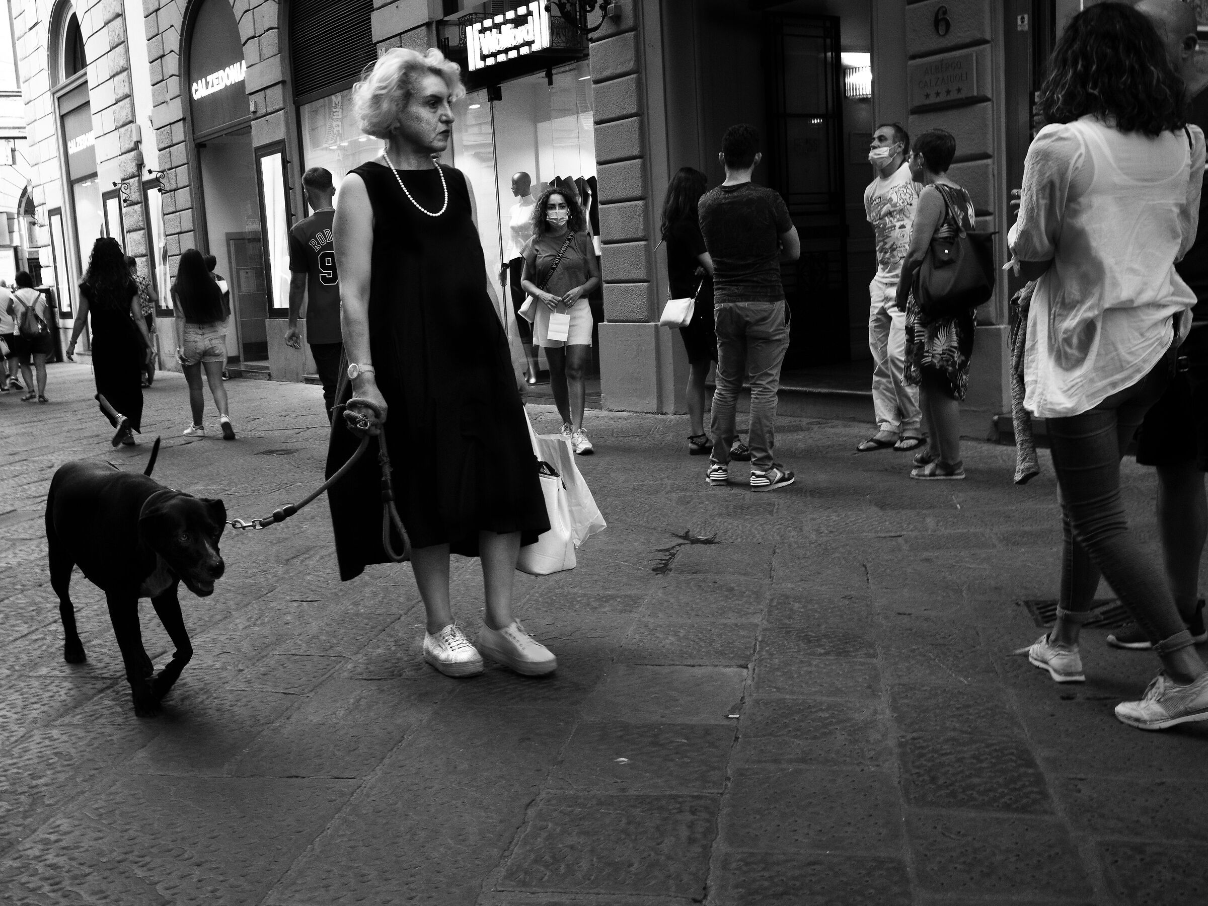Walking with the Dog