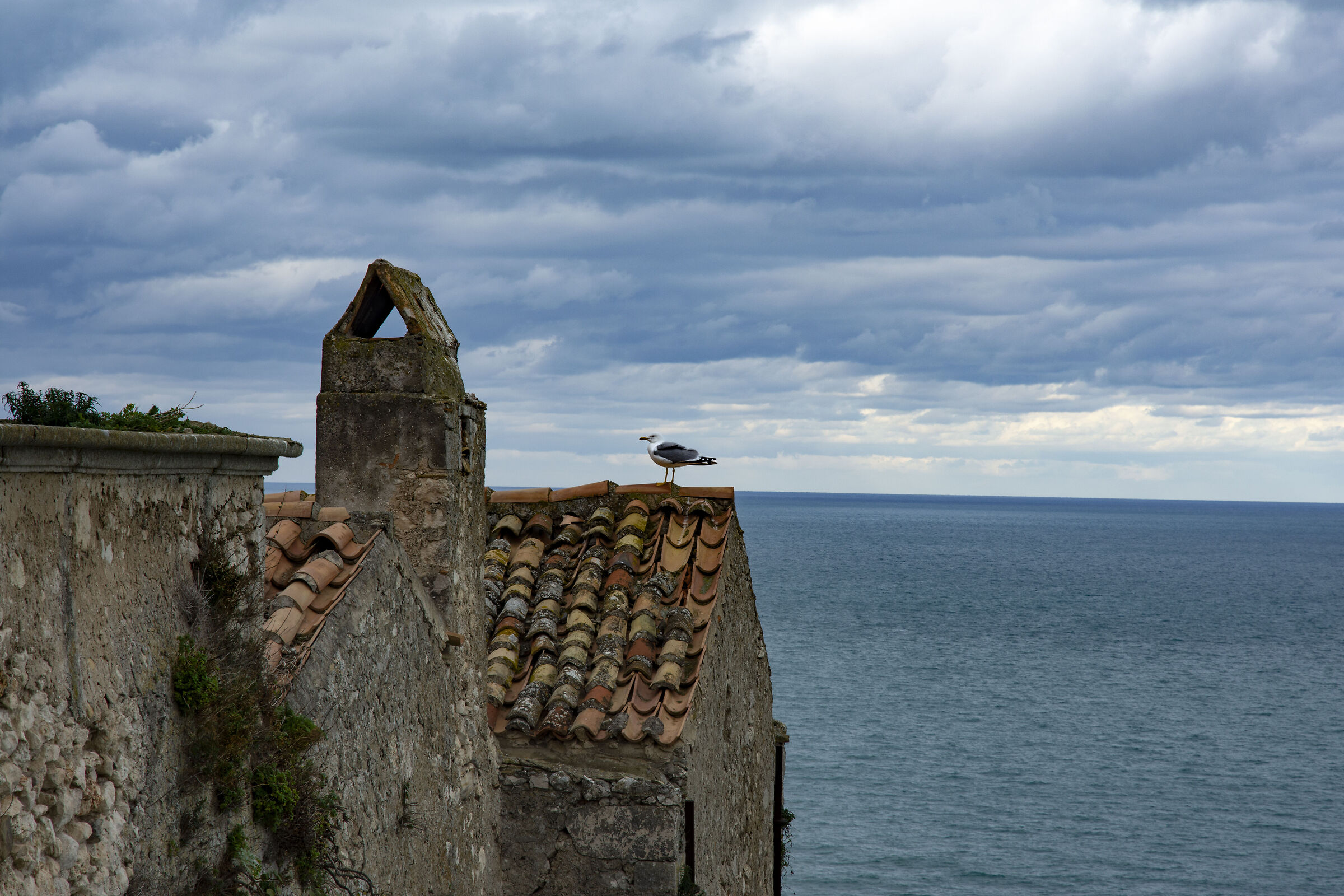 Peschici - Surroundings of the Castle