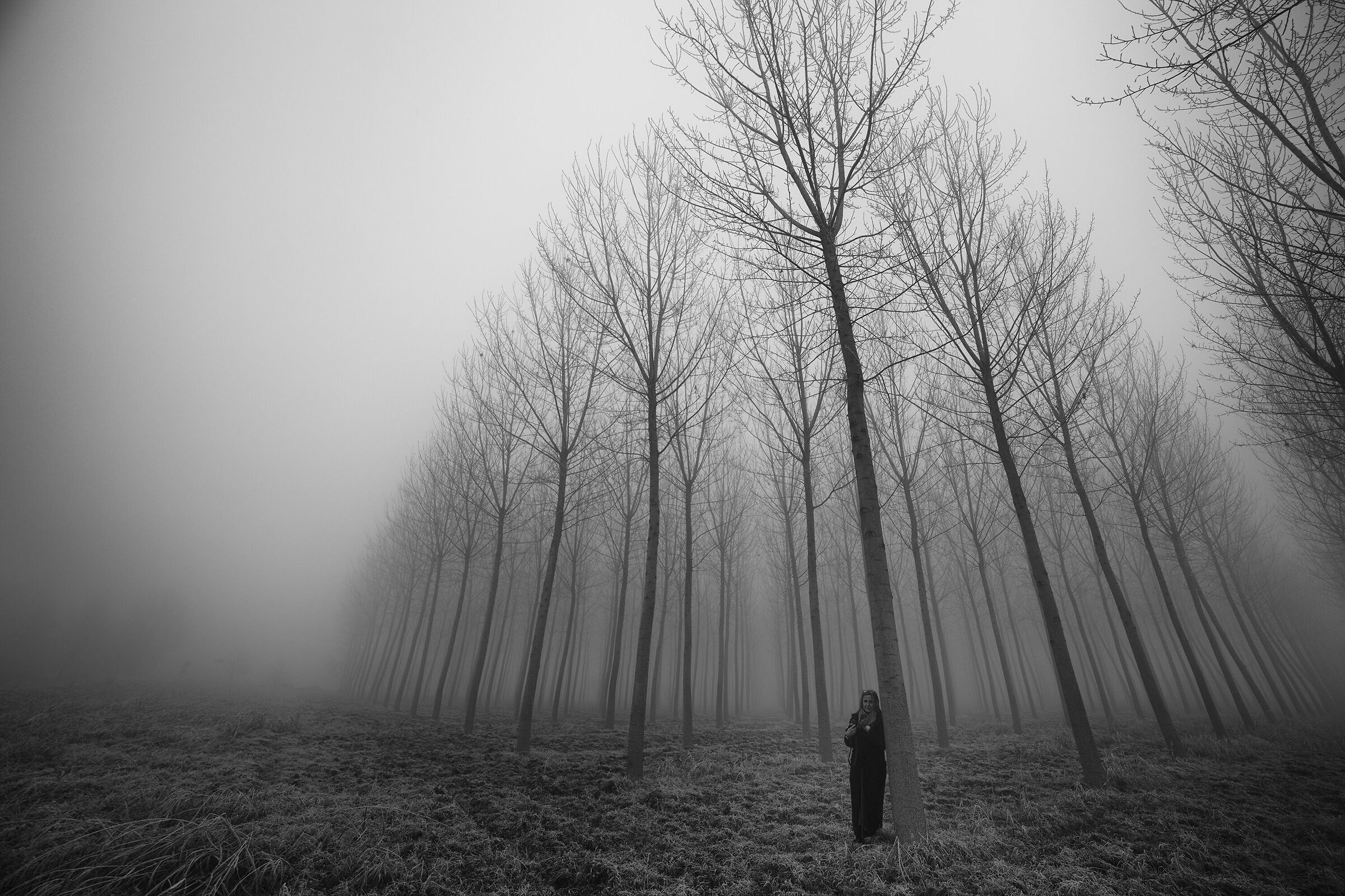 M in Pavia, January 2022