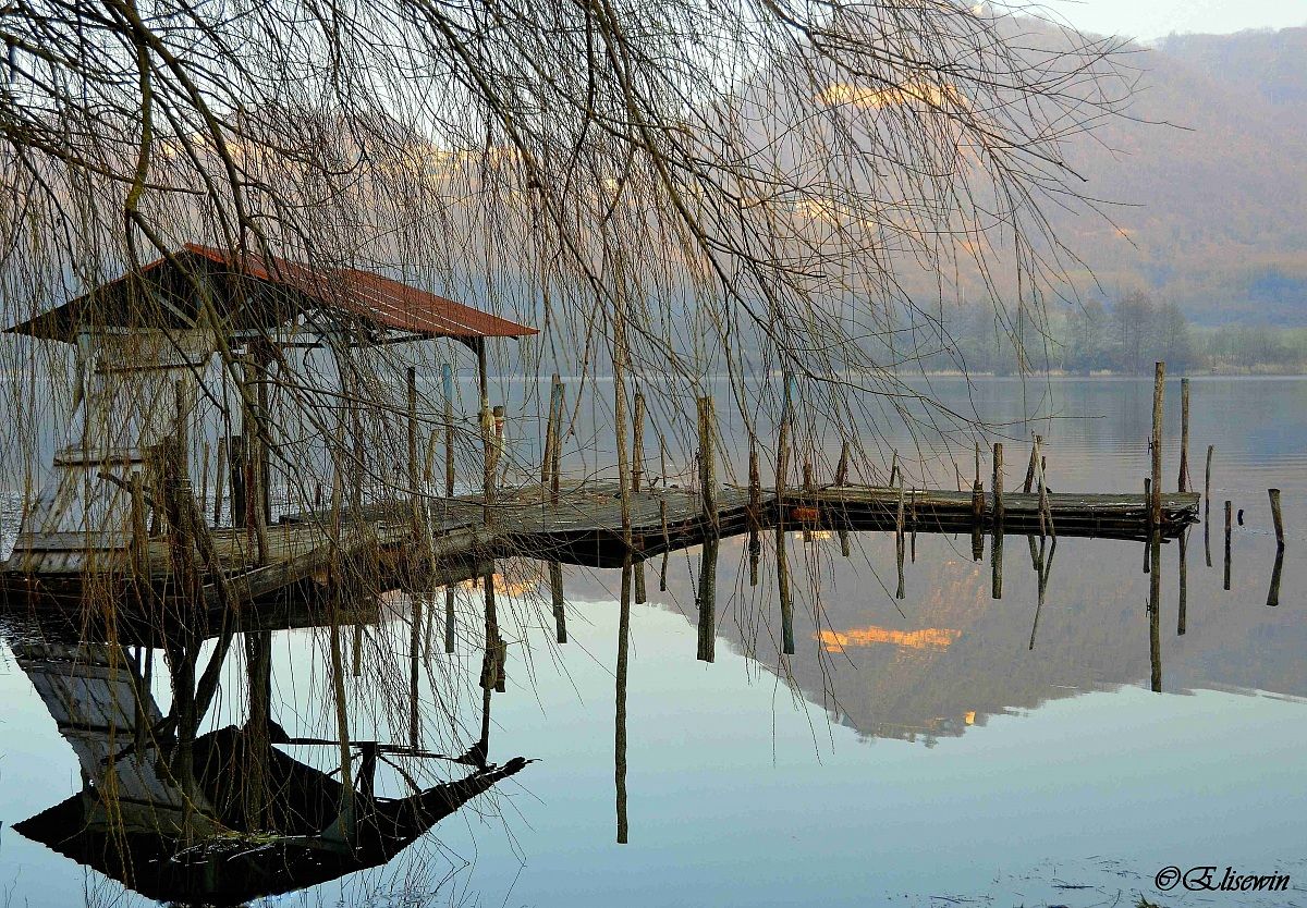 Semplici Riflessioni