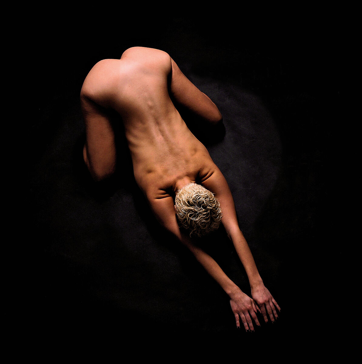 model: Mufin