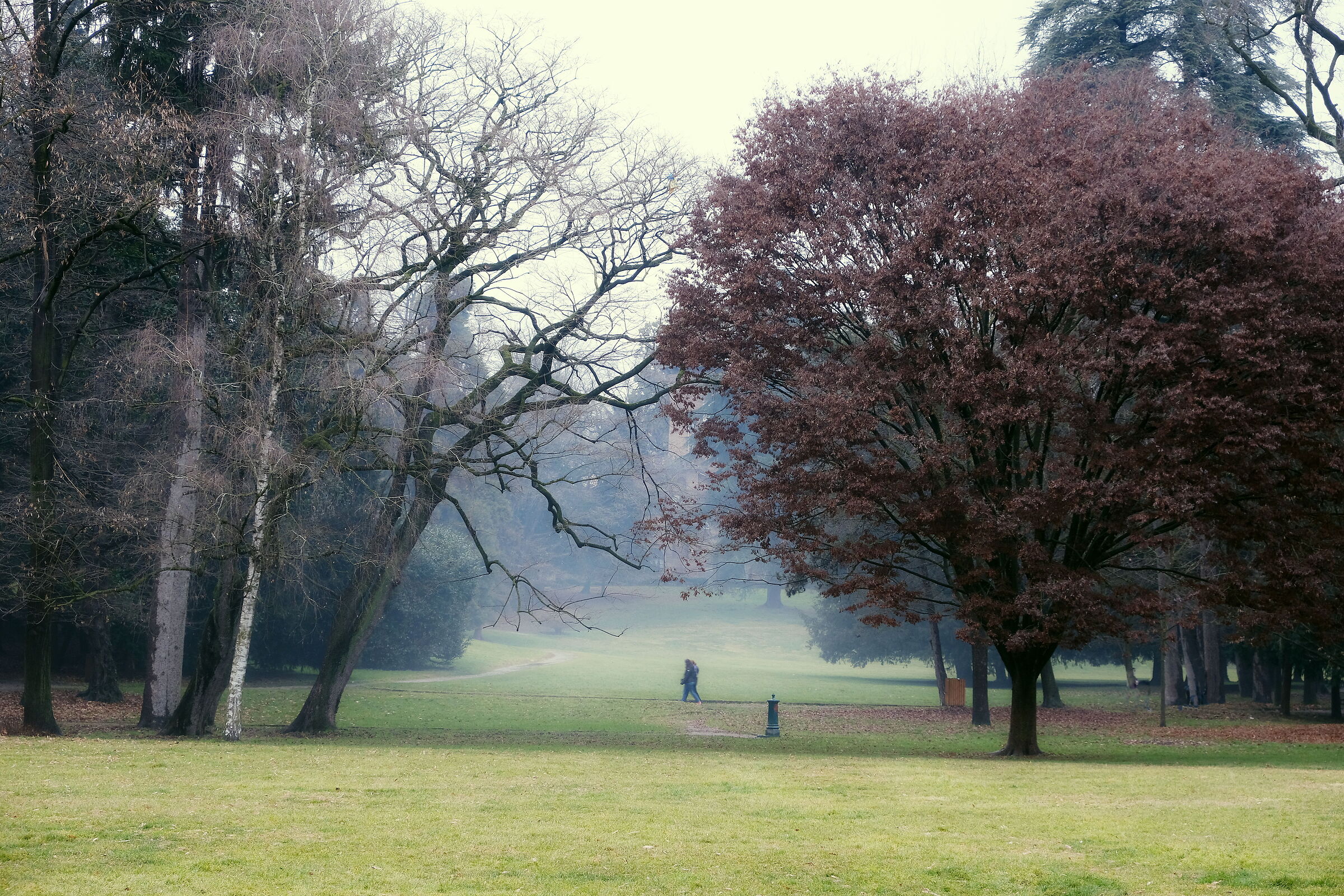 Parco