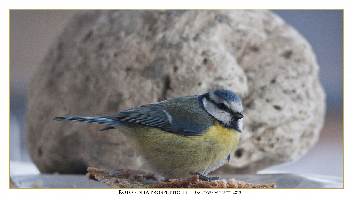 Rotondità perspective