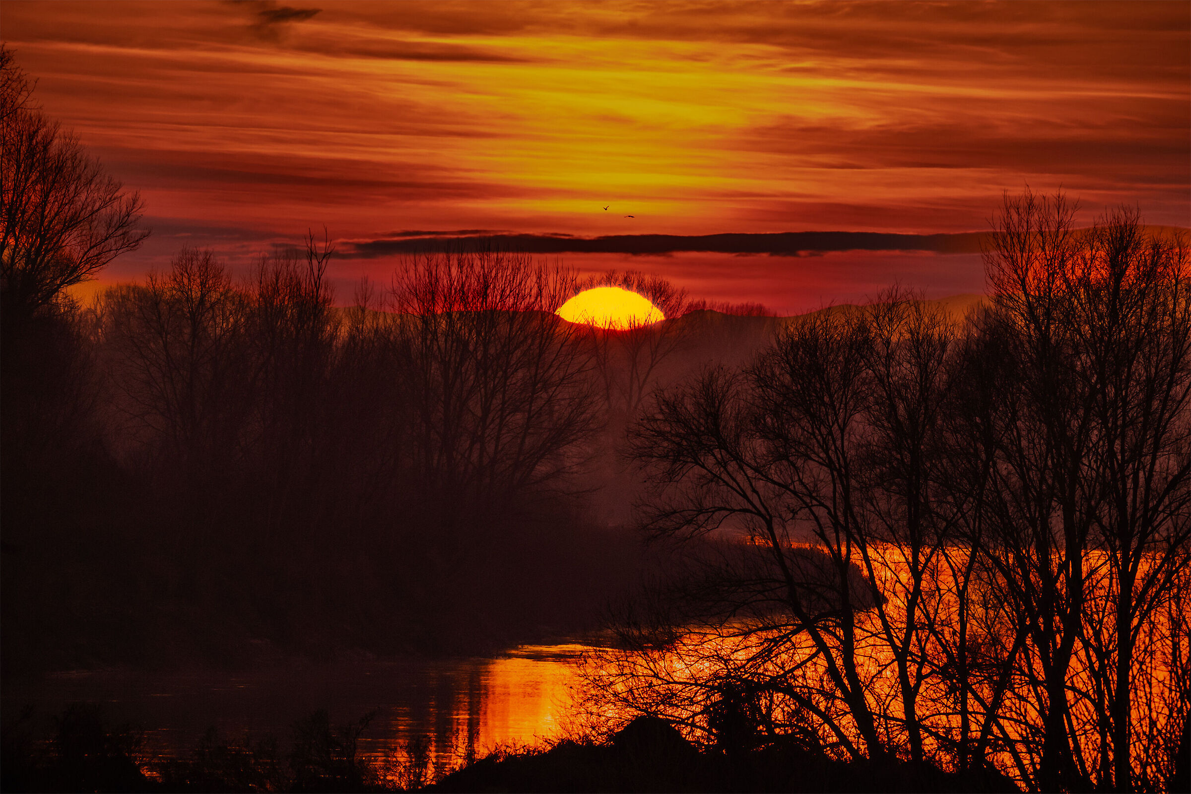 Along the banks of the river Po'