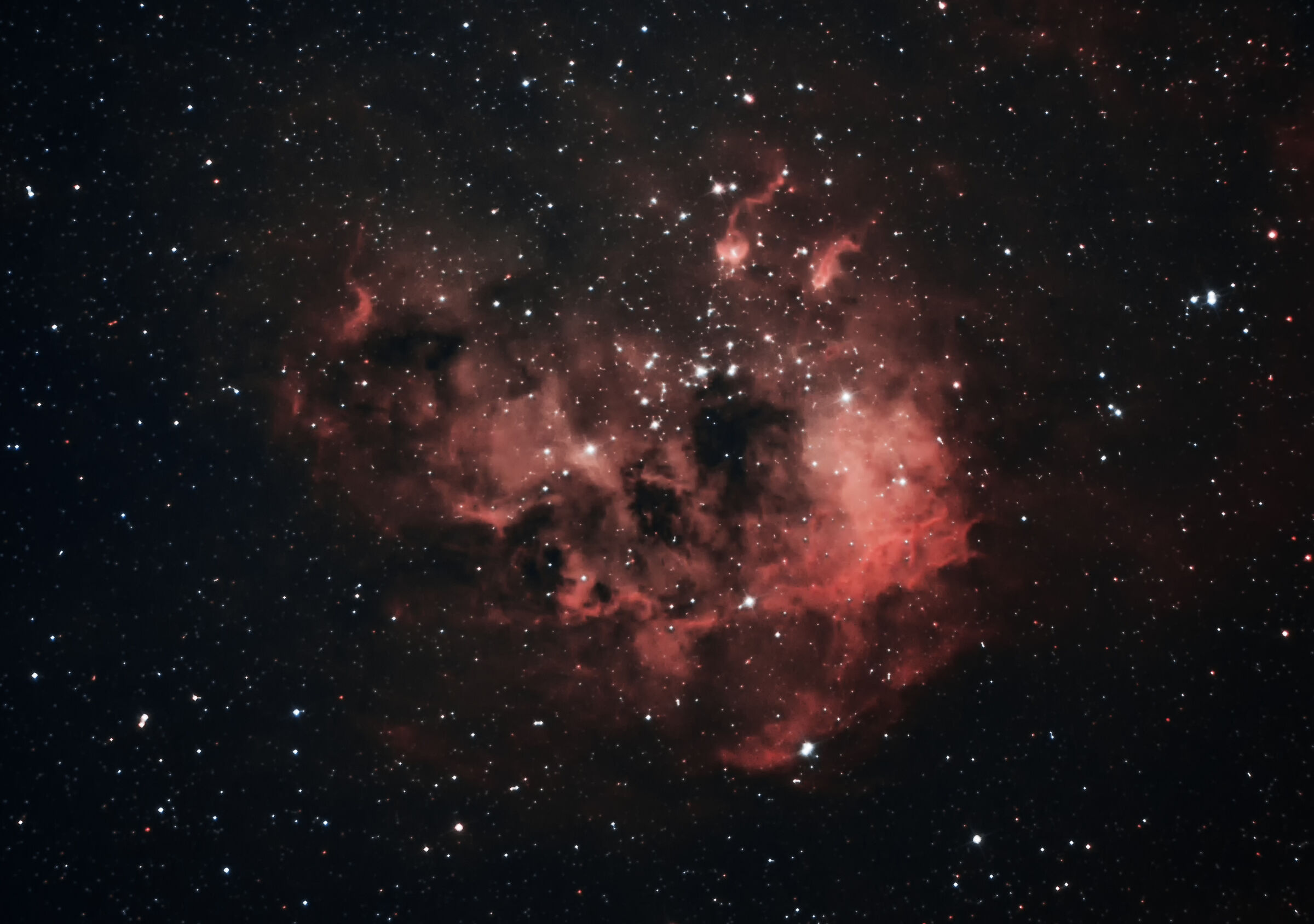 IC410 tadpoles