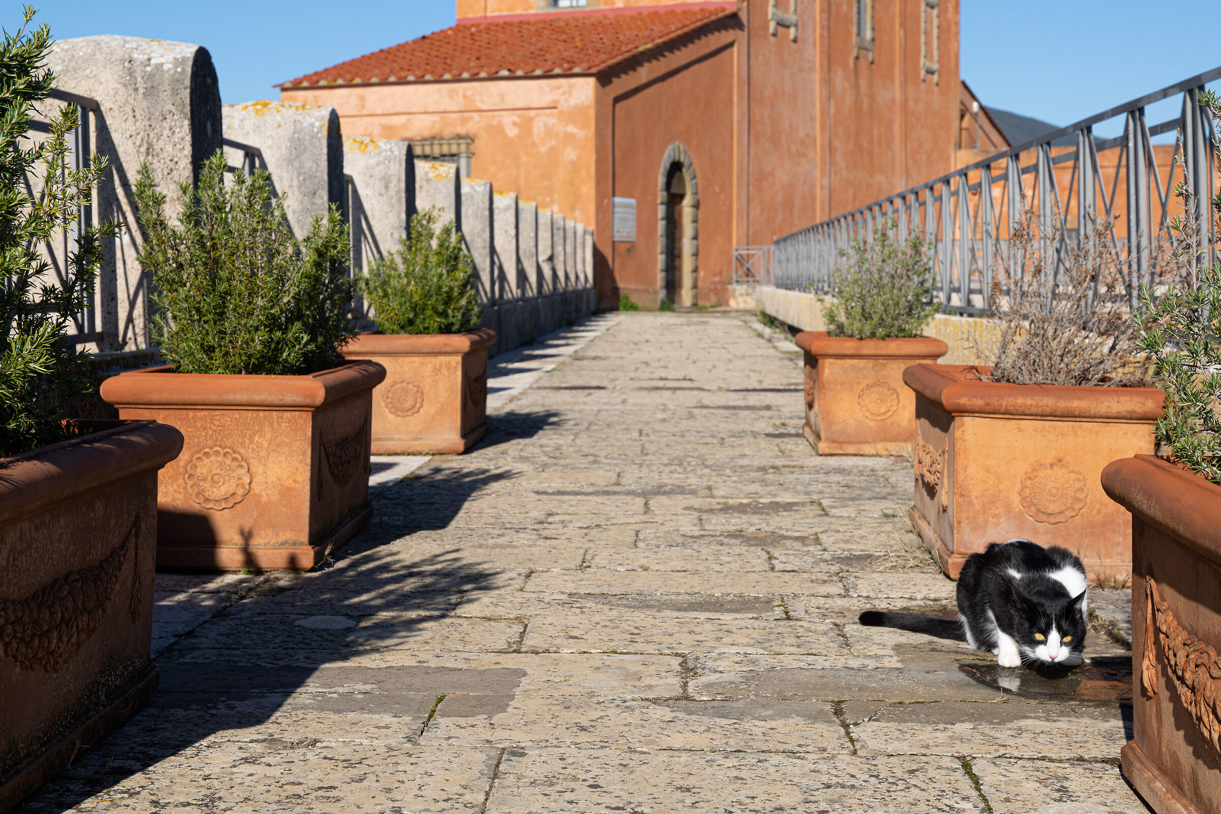 Diaccia Botrona House Ximenes