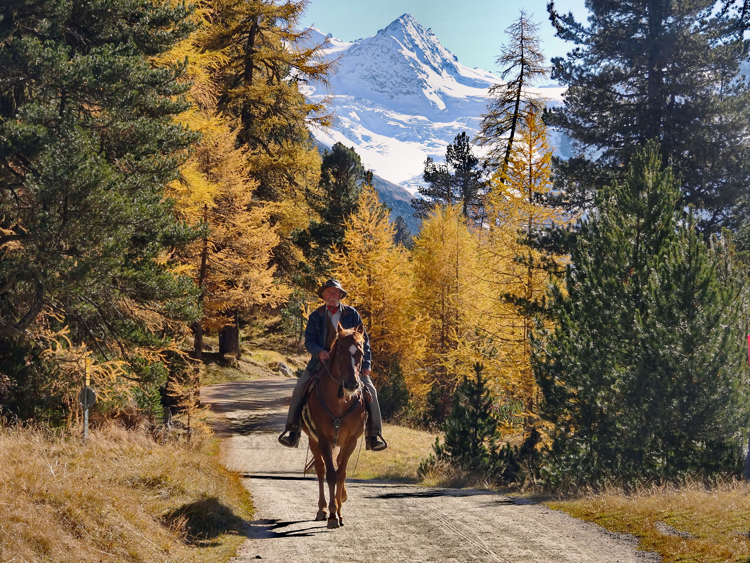 Val Roseg Swiss National Parck
