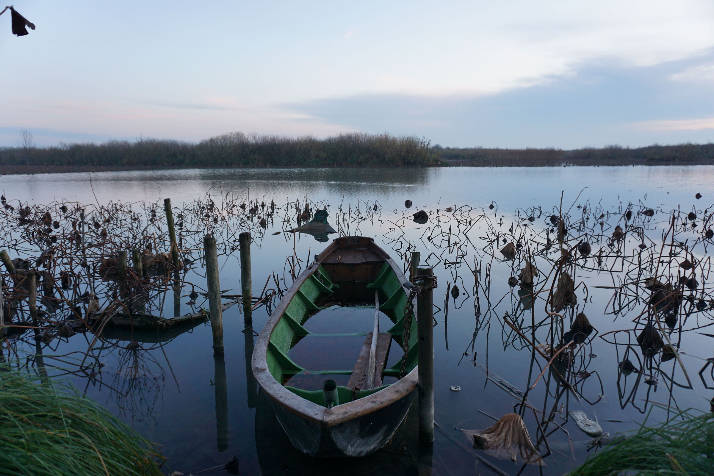 Grazie di Curtatone - prima dell'alba - parco Mincio