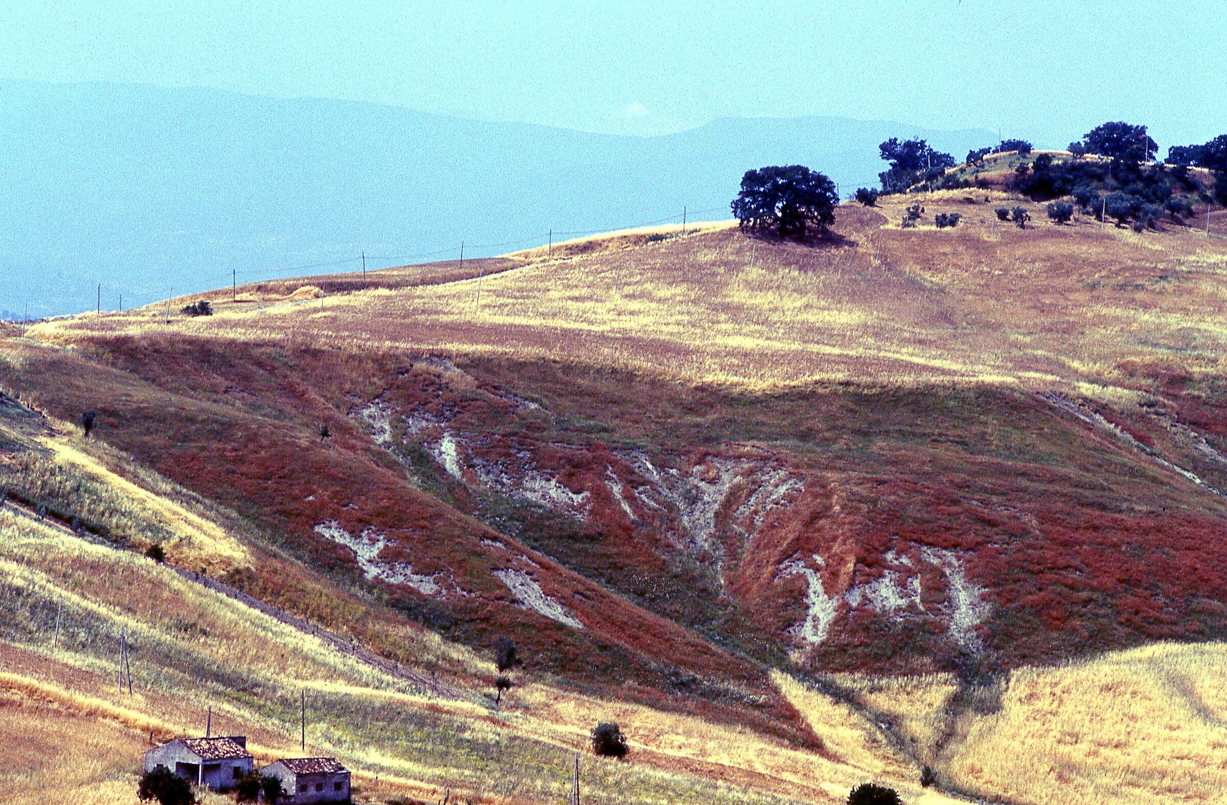 calabria 1991
