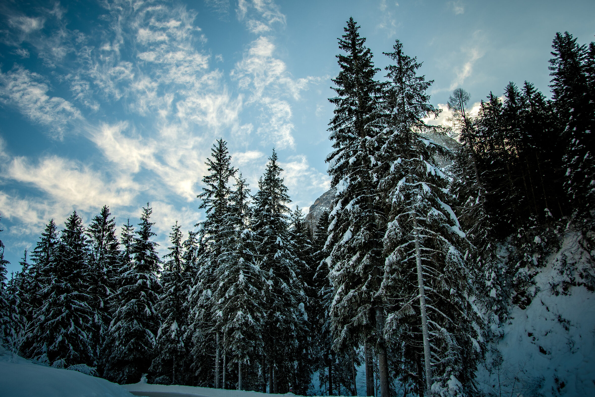 Winter clouds