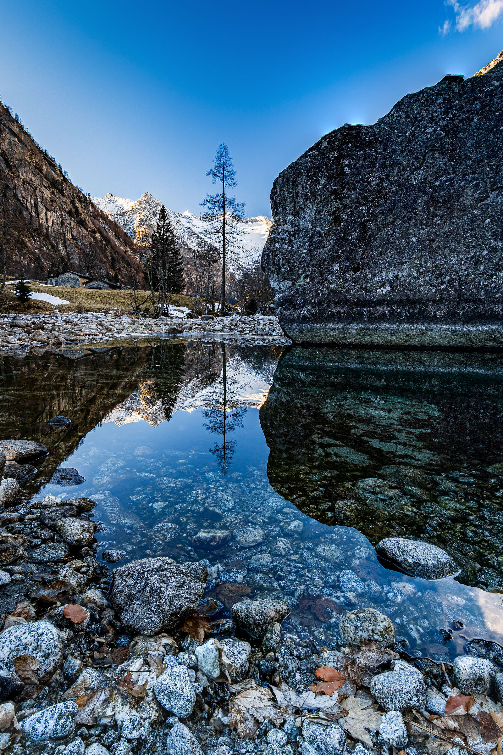 The Ice Stream