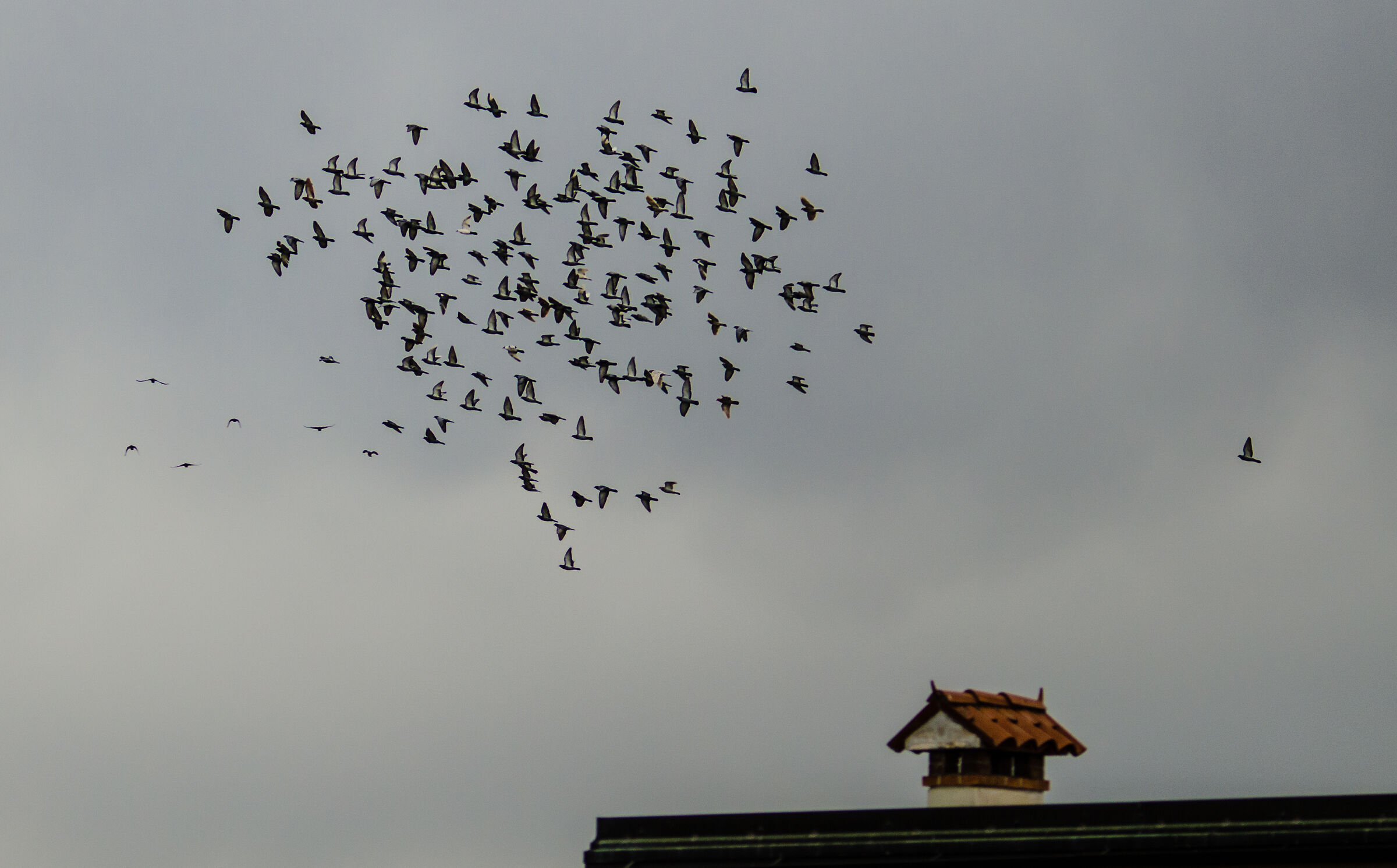 aspettatemiiiiii!!!!!