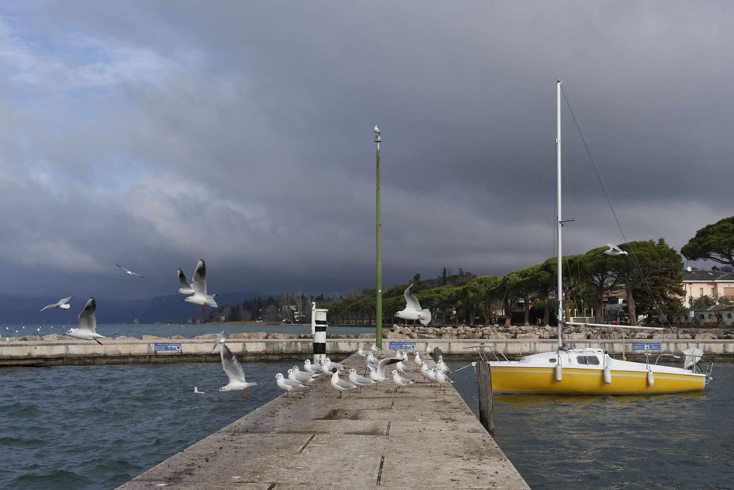 Lazise (Italy)
