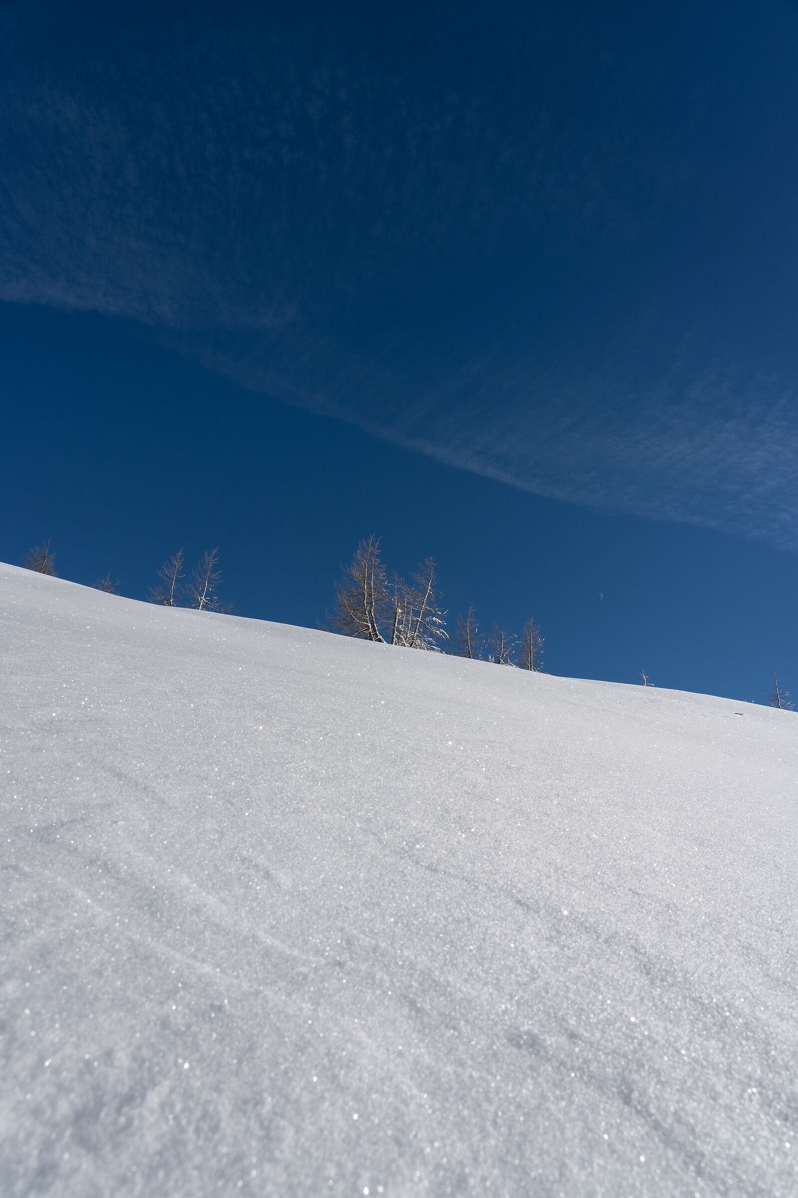 Neve e cielo (Val Campelle - Trentino - Italia)