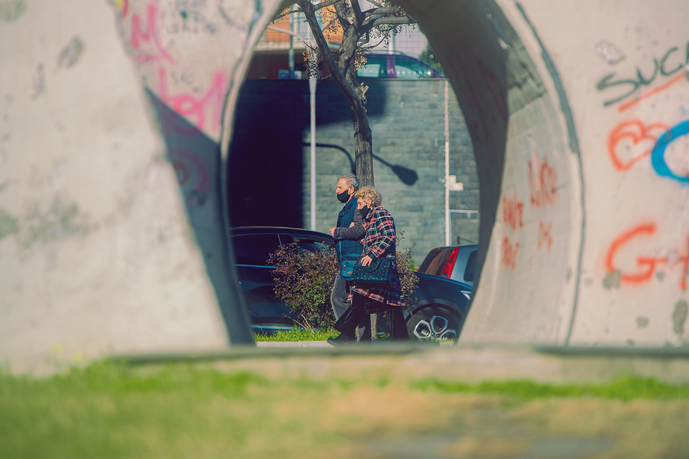 The roots of that tree