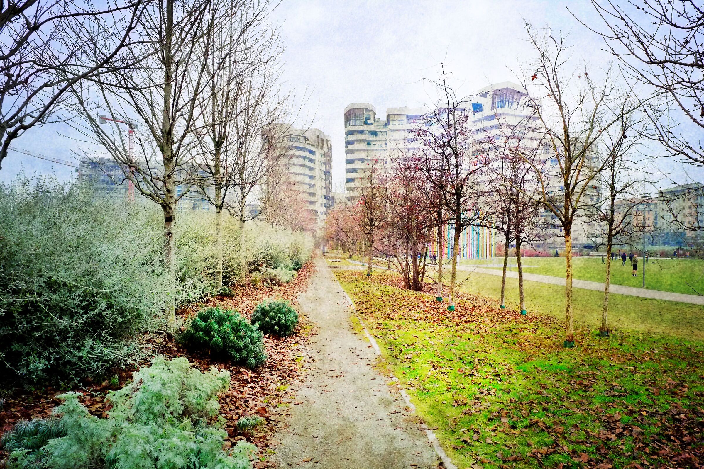 City Life