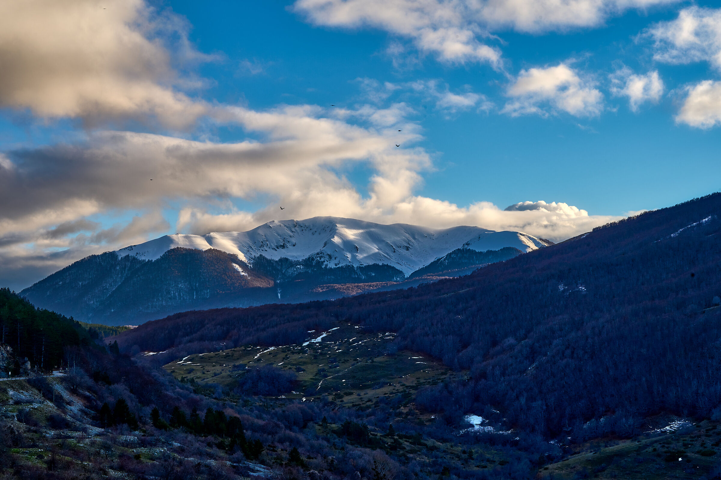 National Park of Abruzzo, Lazio and Molise