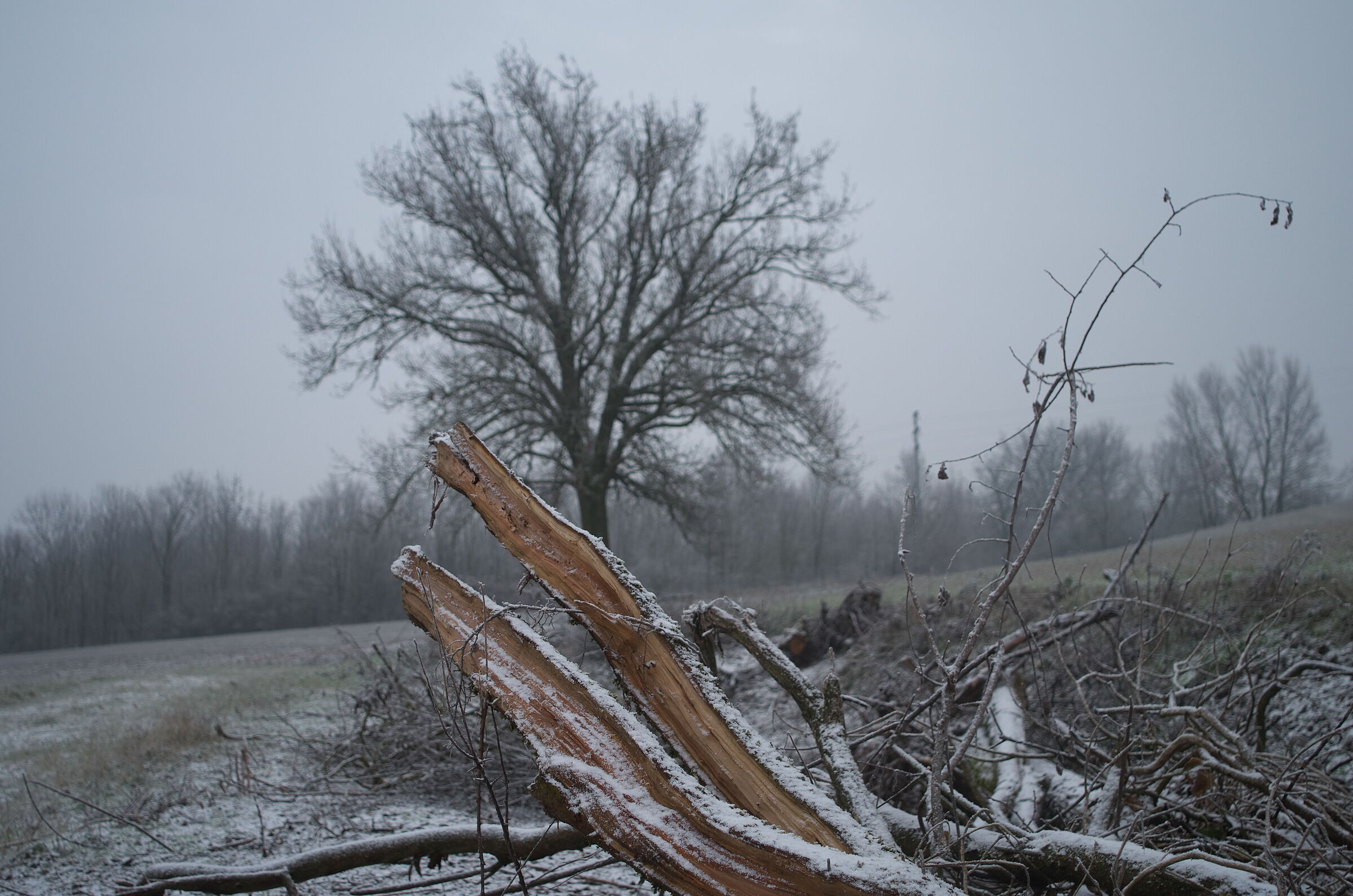 Mattinata di Gennaio